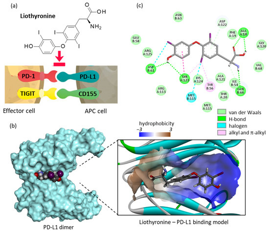 Drug Repurposing to Enhance Antitumor Response to PD-1/PD-L1