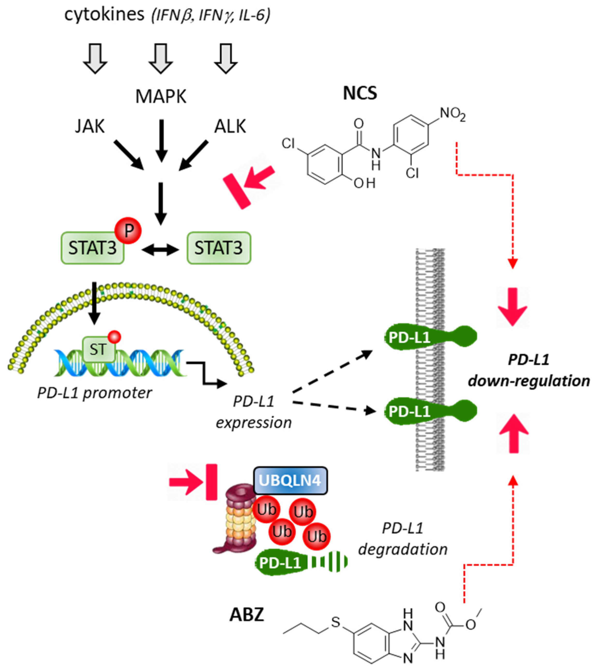 Cancers 14 03368 g004