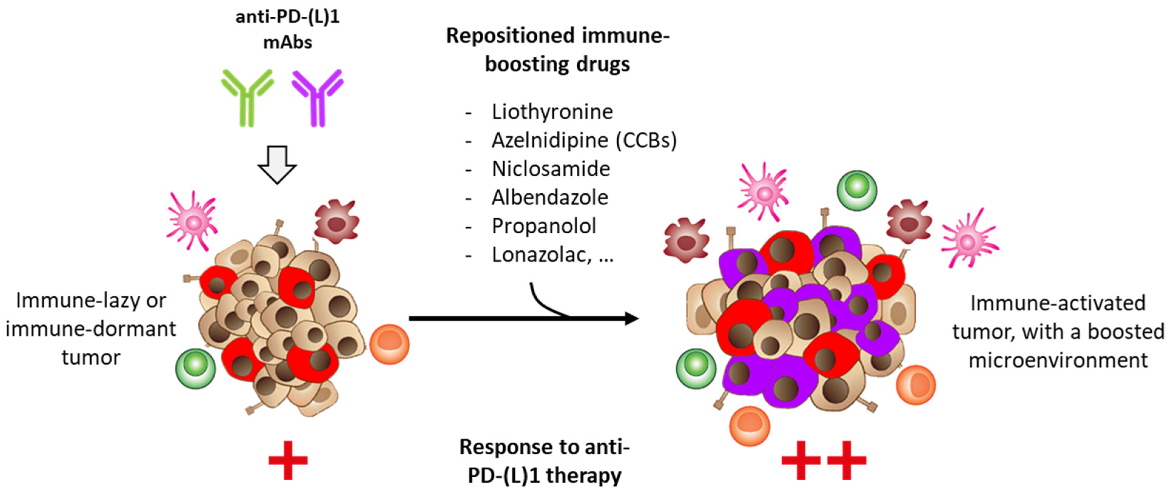 Cancers 14 03368 g007