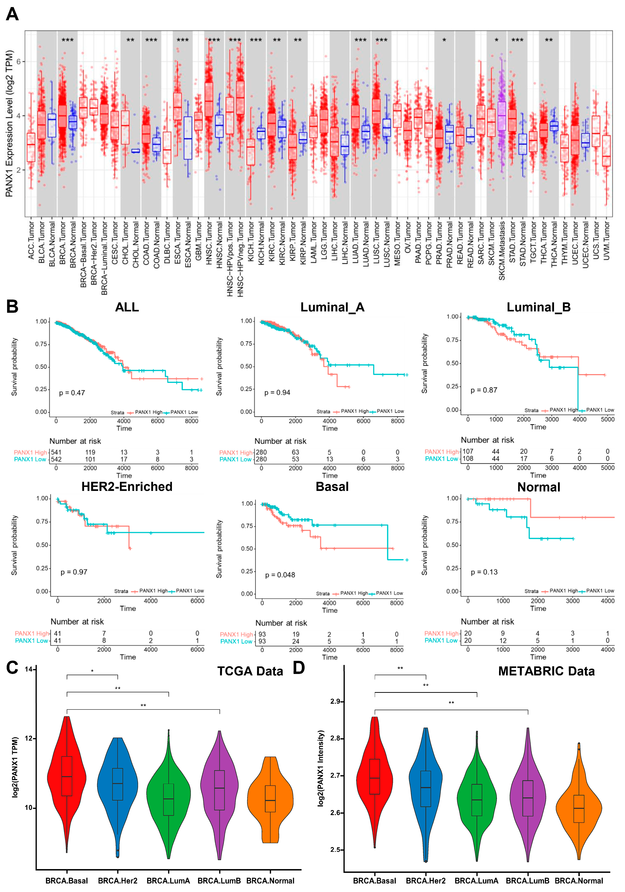 Cancers 14 03369 g001 550