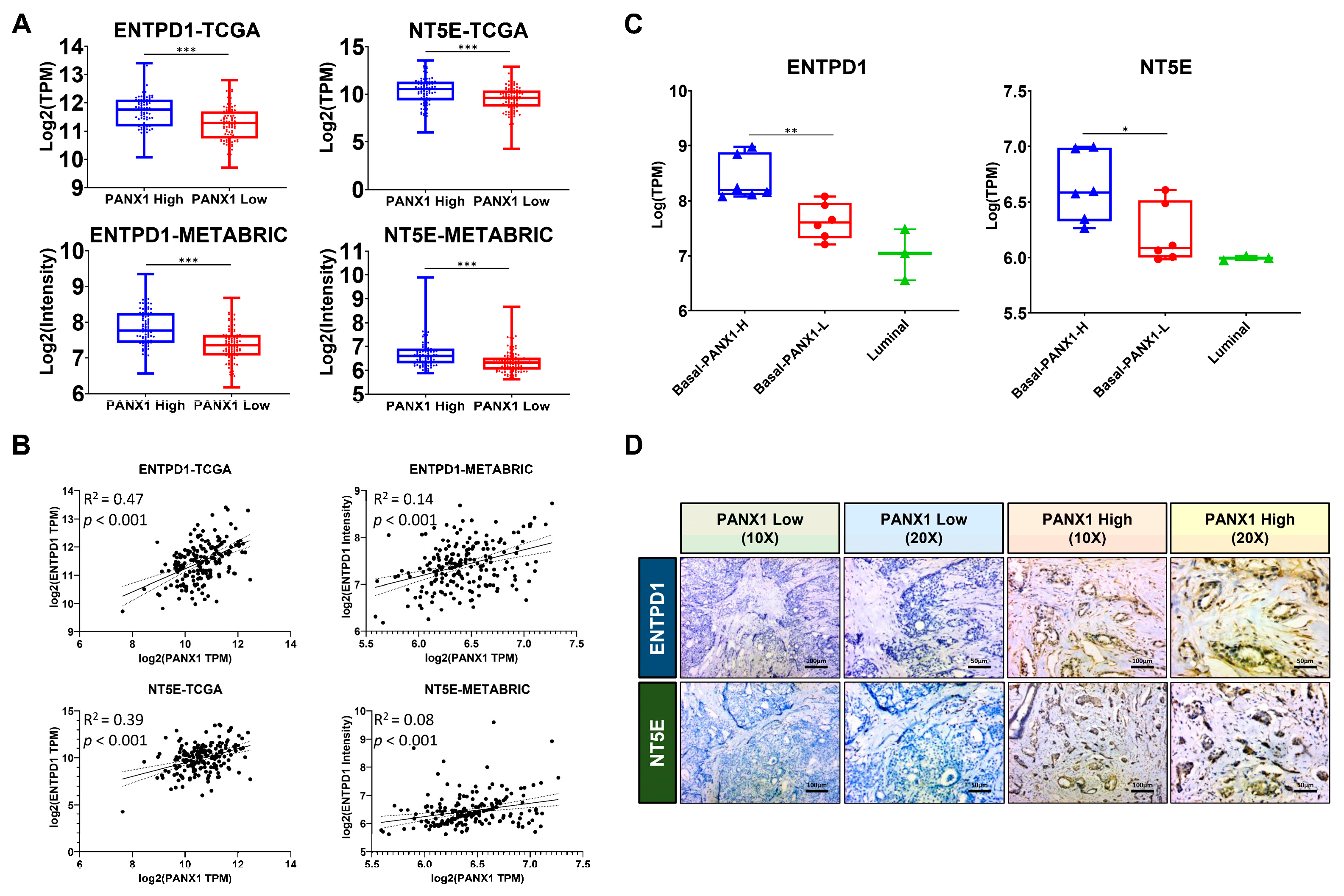 Cancers 14 03369 g002 550