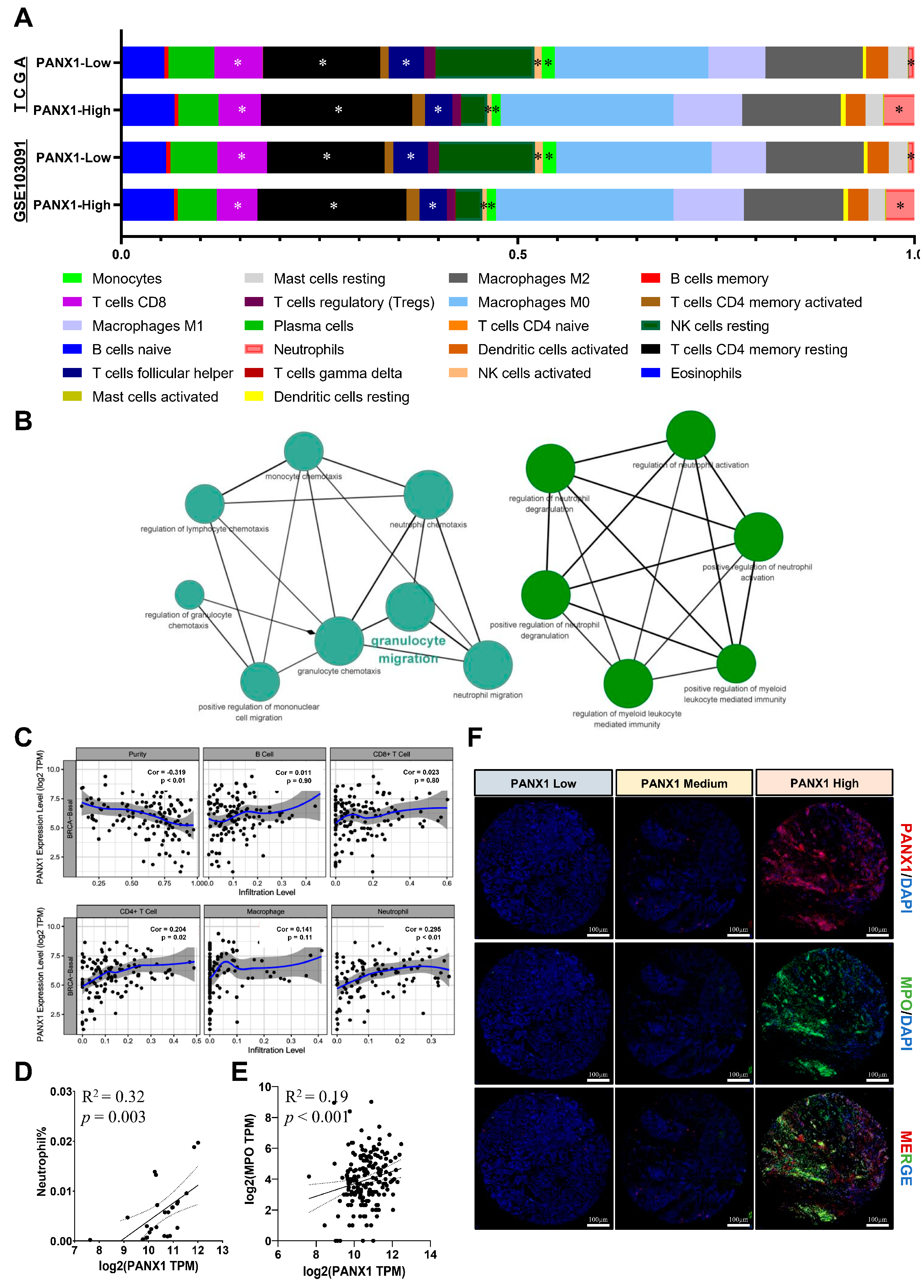 Cancers 14 03369 g003 550