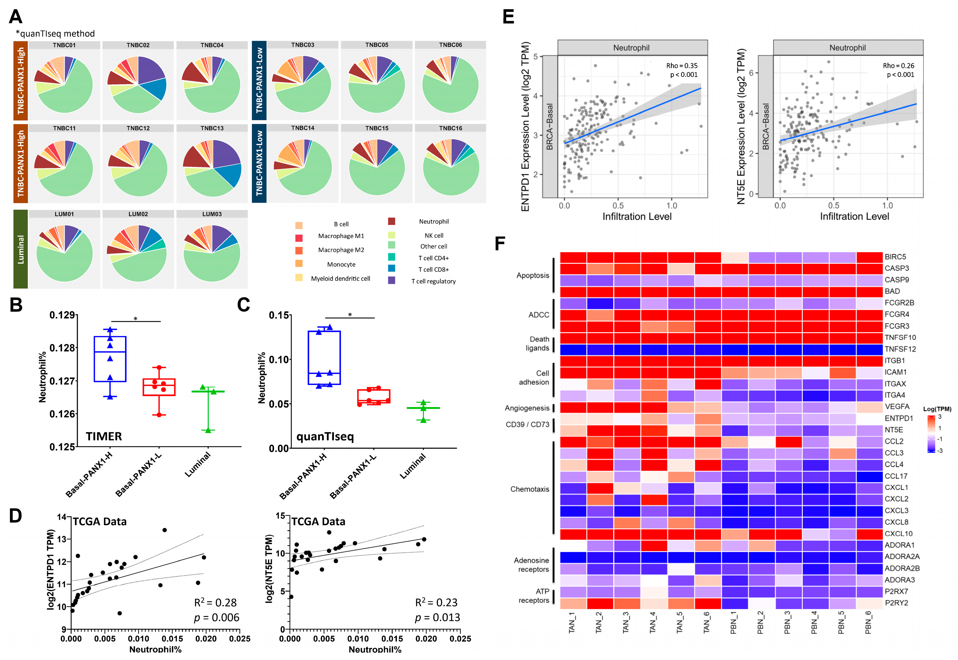 Cancers 14 03369 g004 550