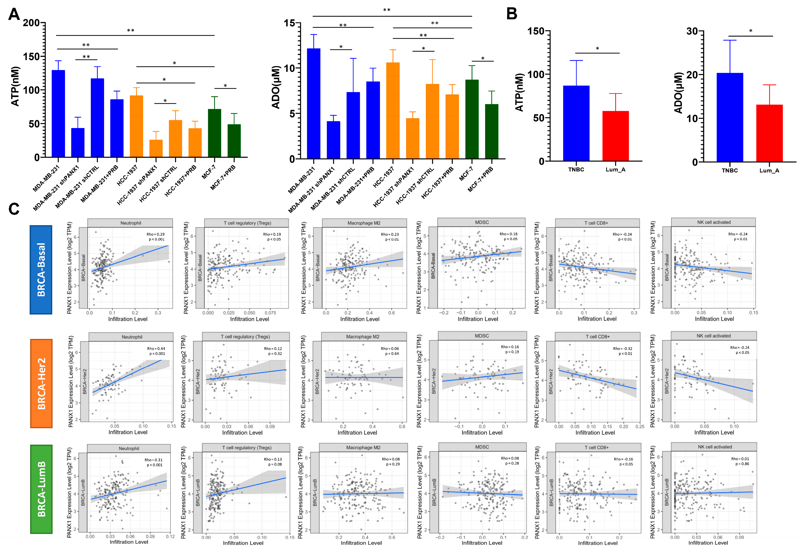 Cancers 14 03369 g005 550