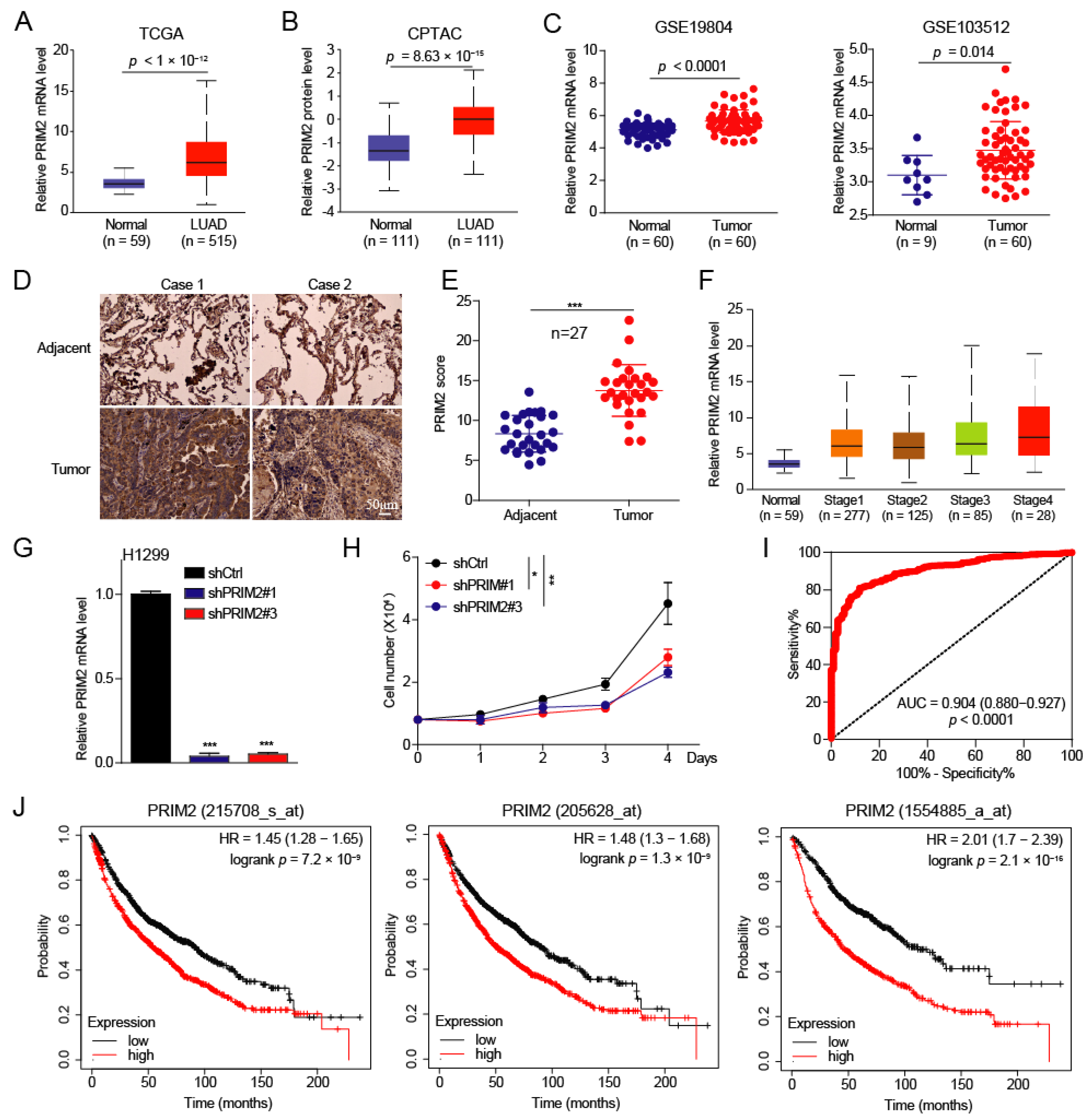 Cancers 14 03370 g001