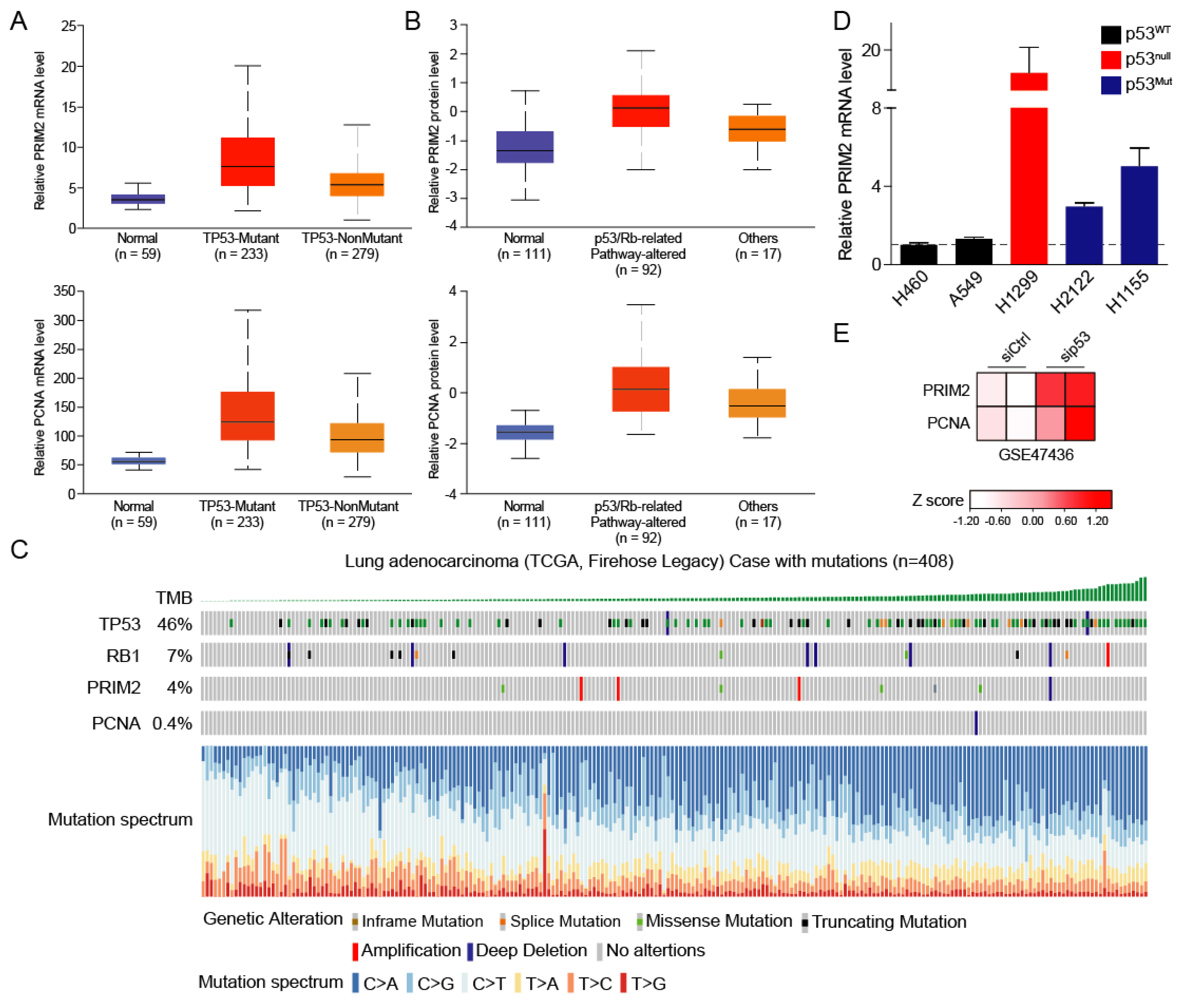 Cancers 14 03370 g003