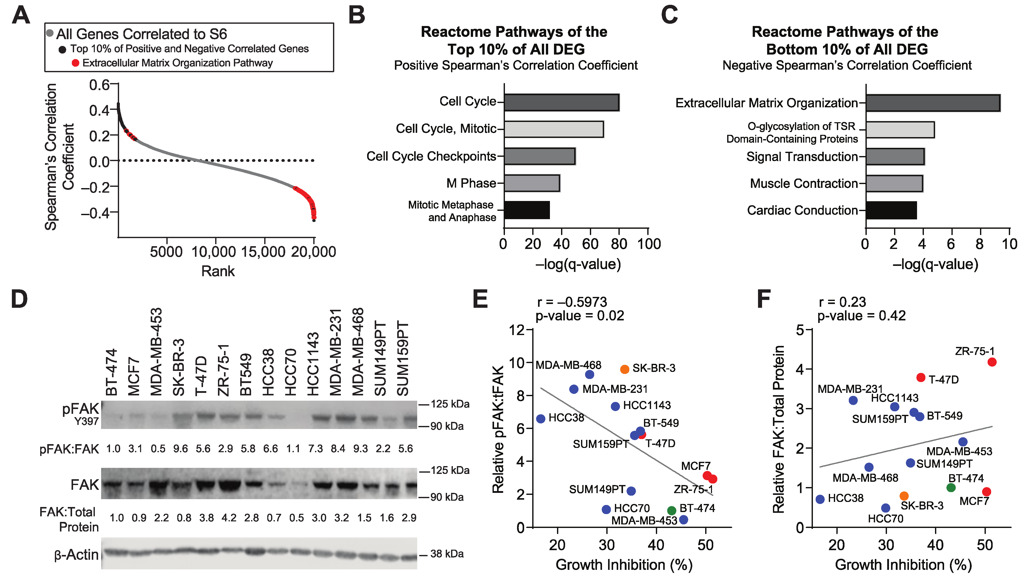 Cancers 14 03374 g002
