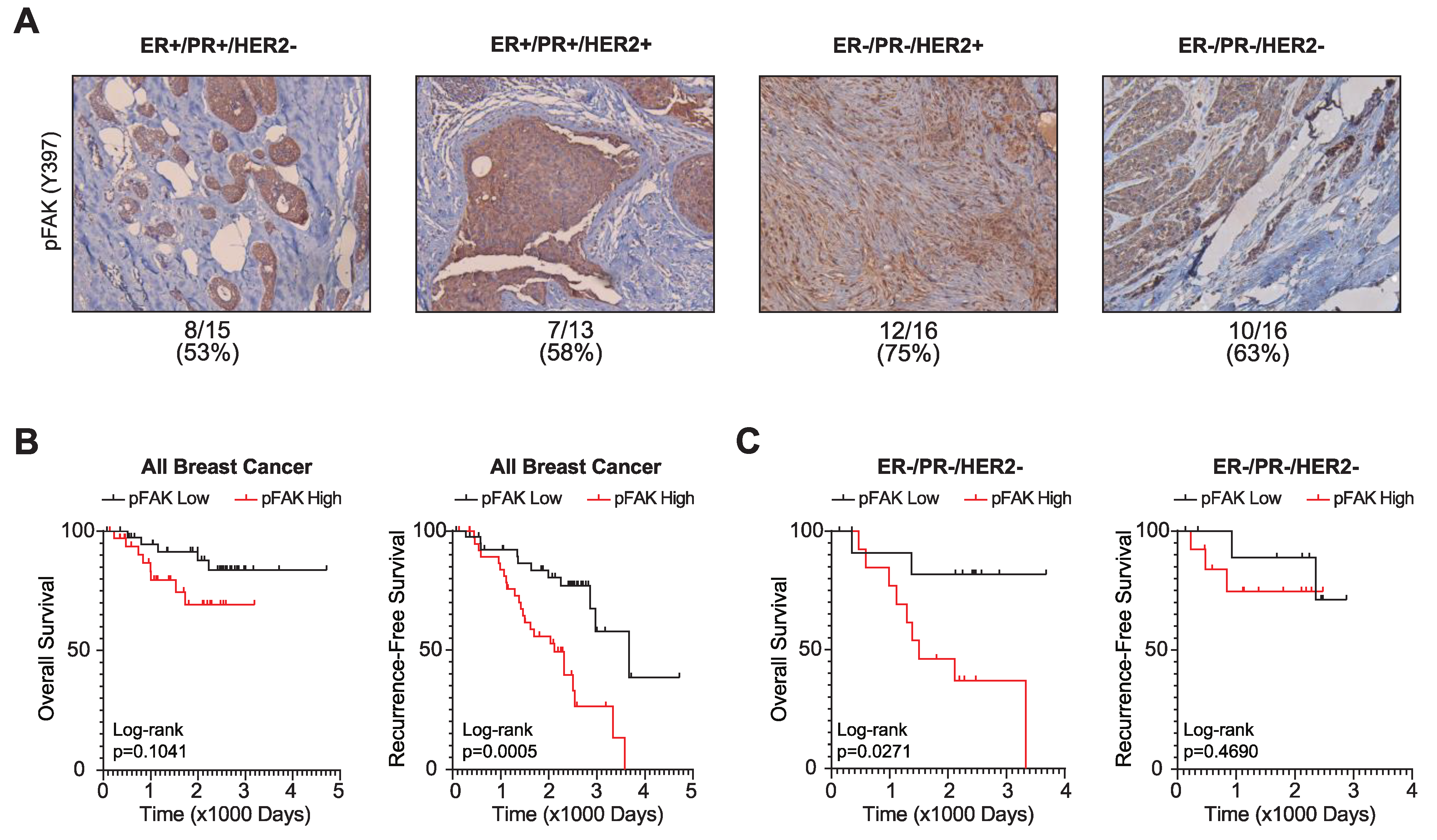 Cancers 14 03374 g003