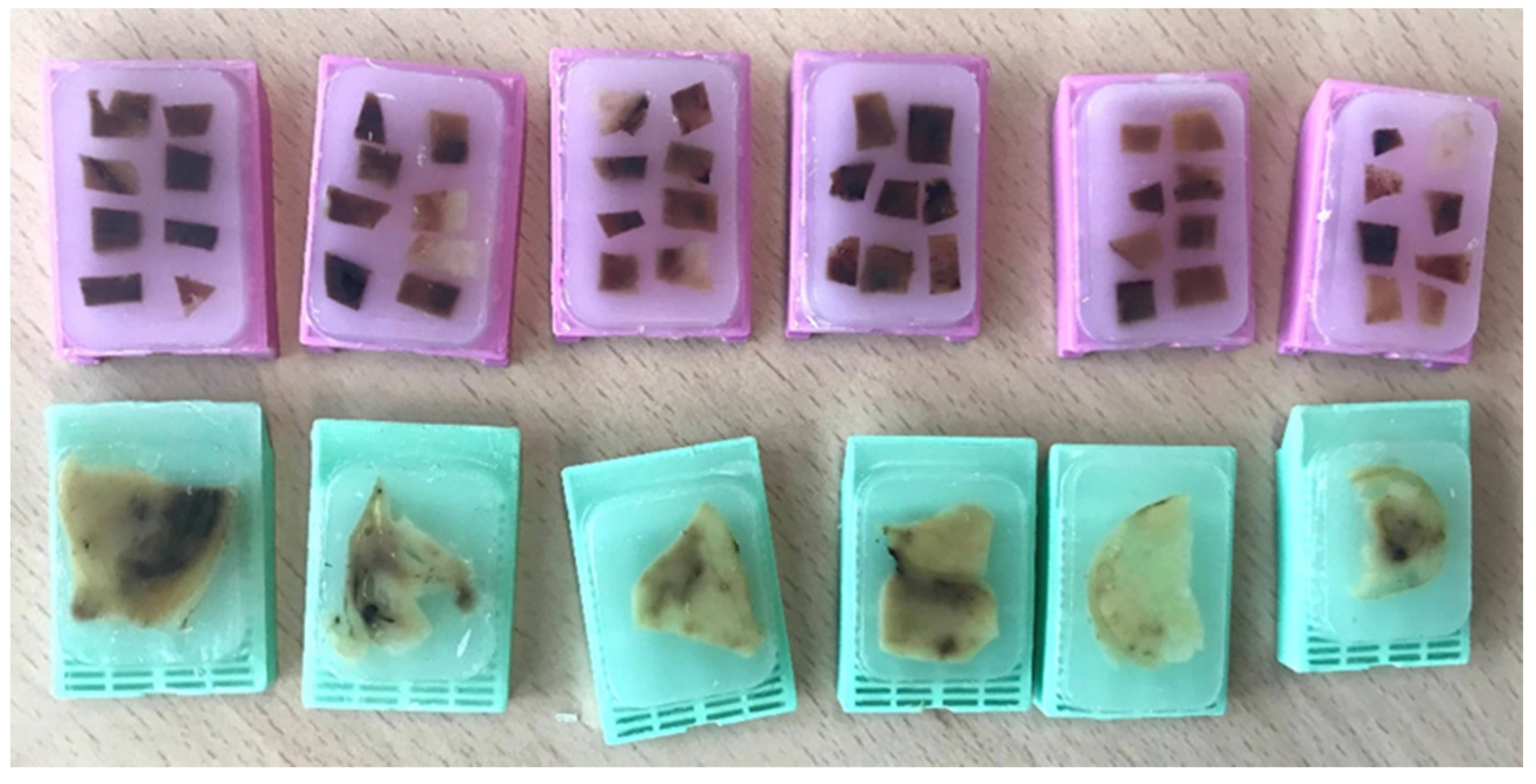 Cancers 14 03381 g002