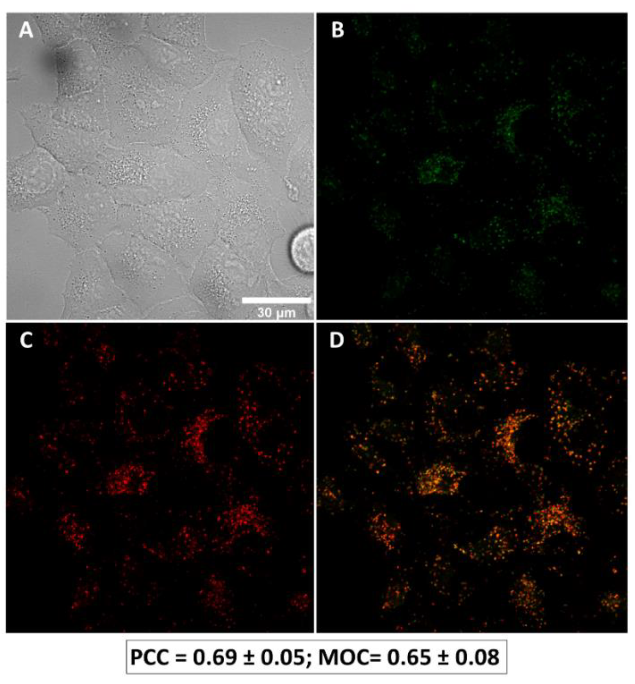 Cancers 14 03387 g002 550