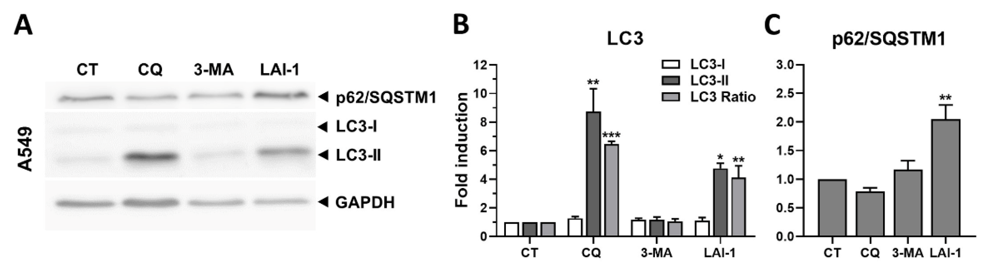 Cancers 14 03387 g004 550