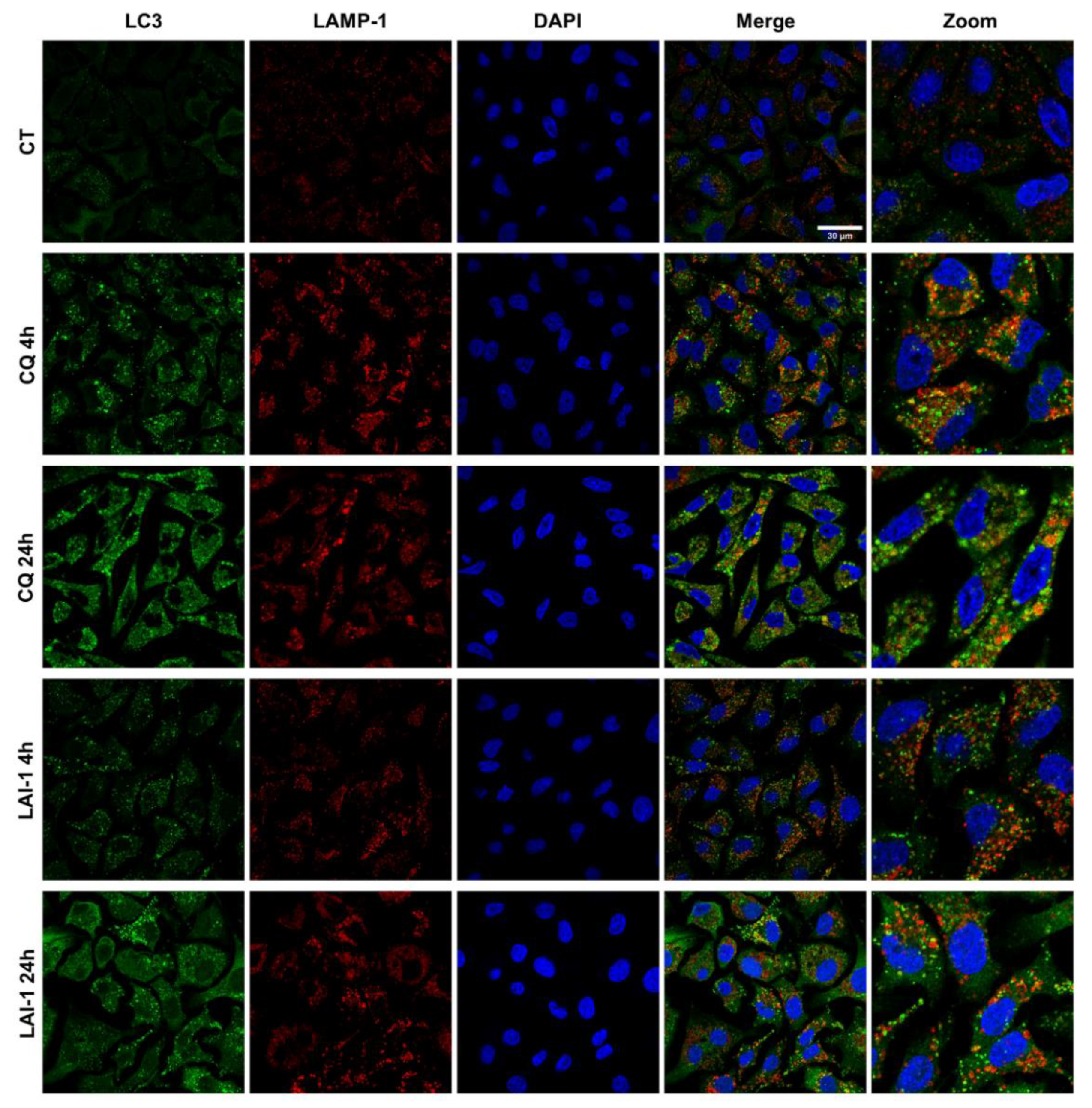 Cancers 14 03387 g006 550