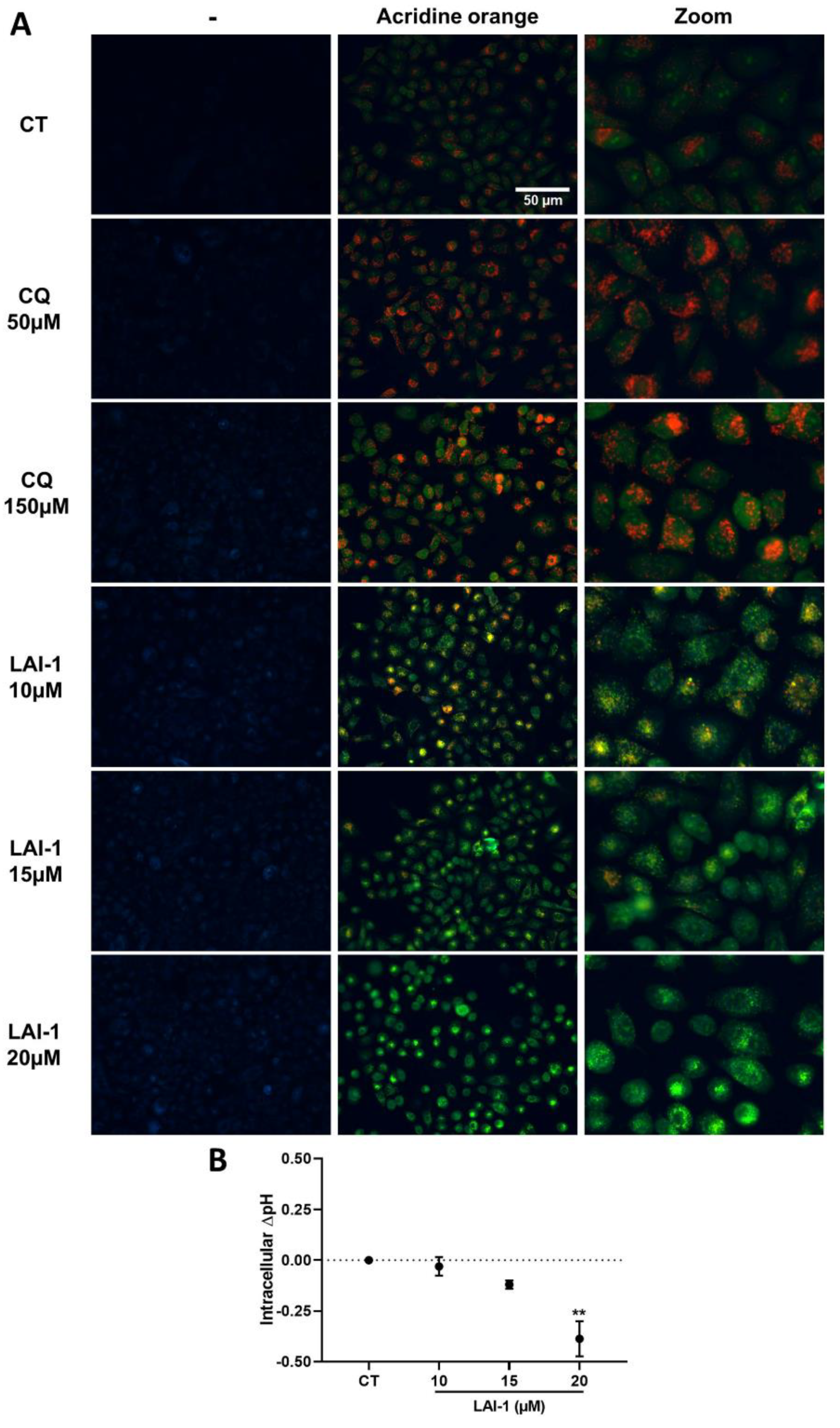 Cancers 14 03387 g007 550