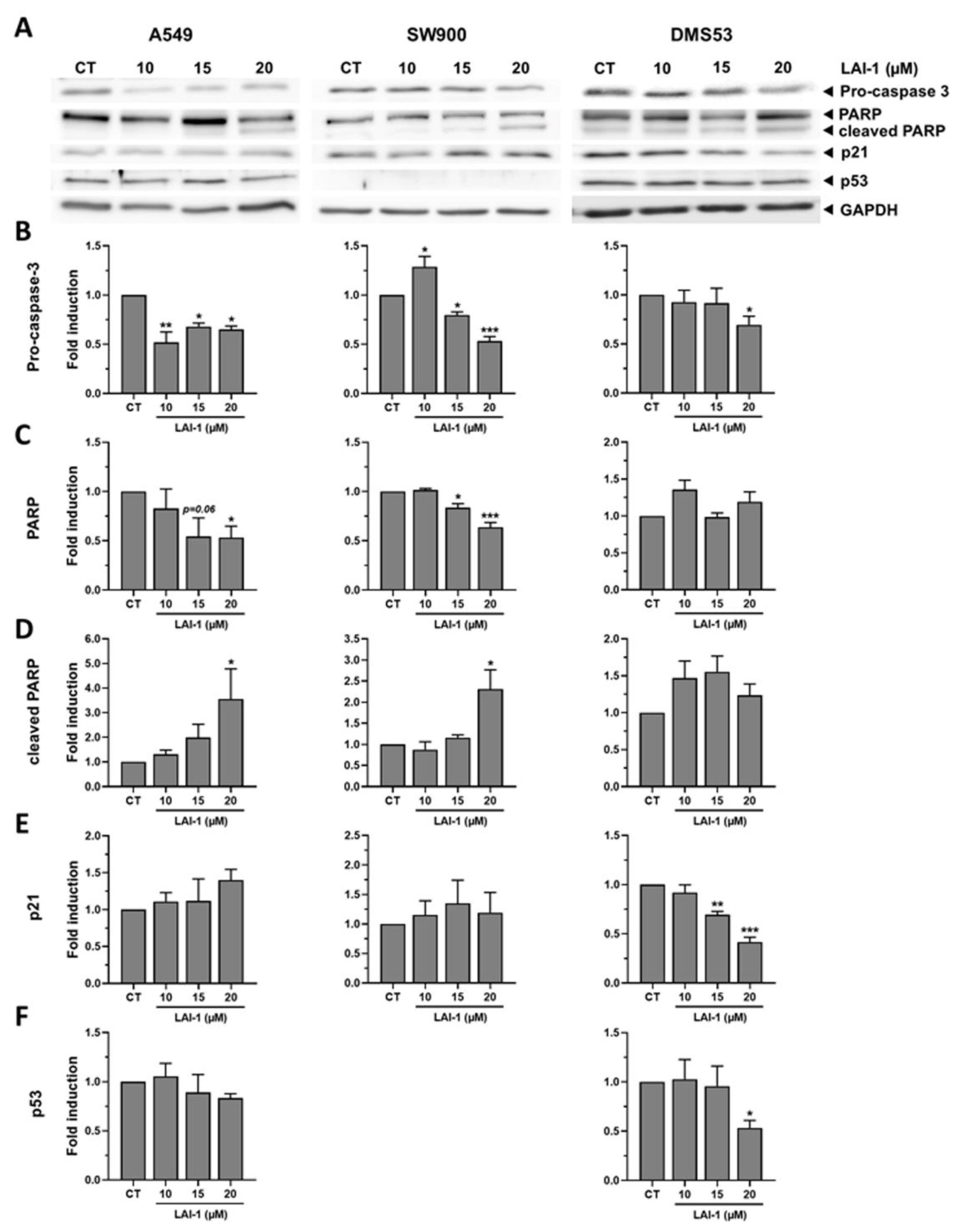 Cancers 14 03387 g009 550
