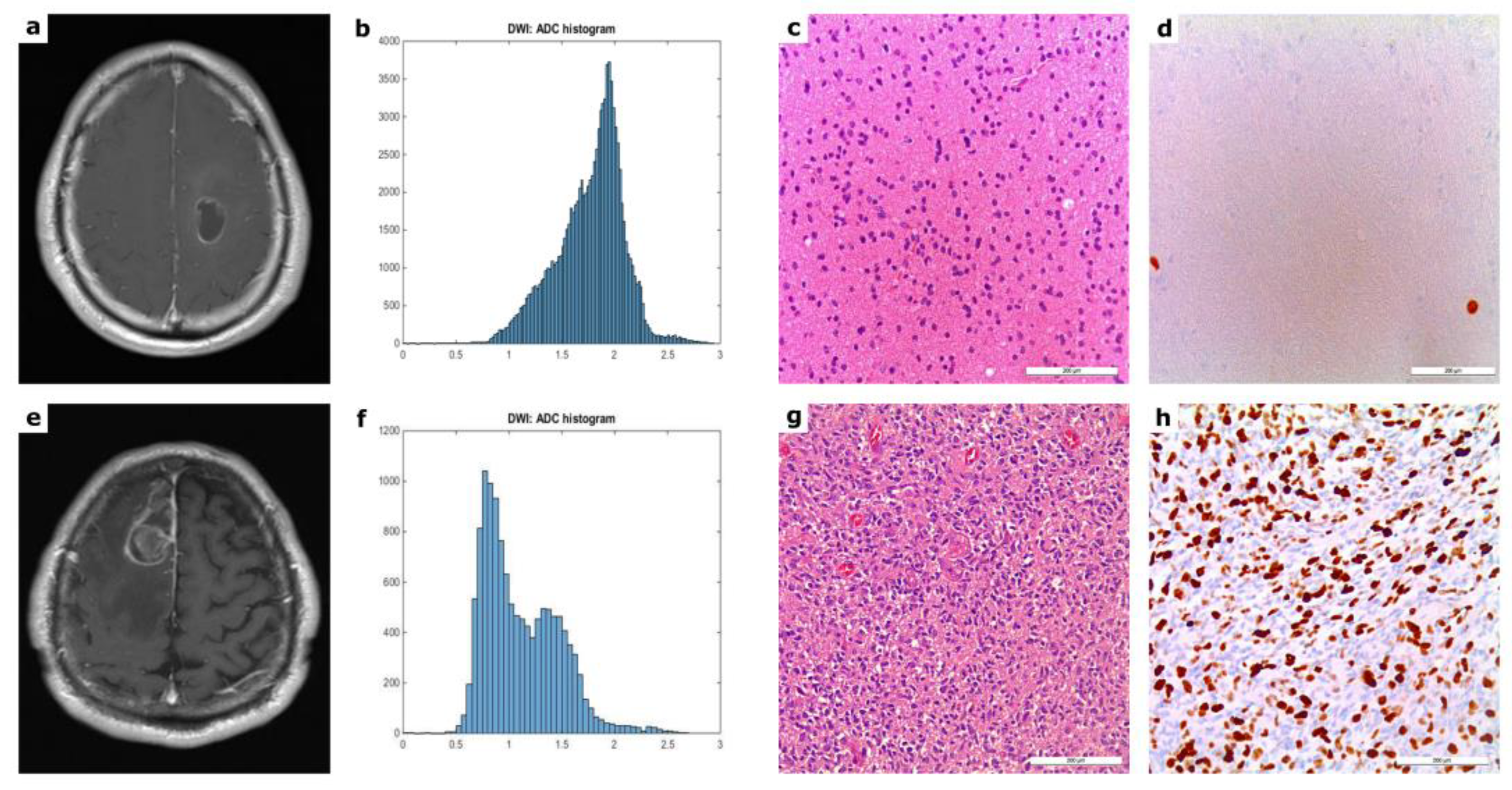 Cancers 14 03393 g001