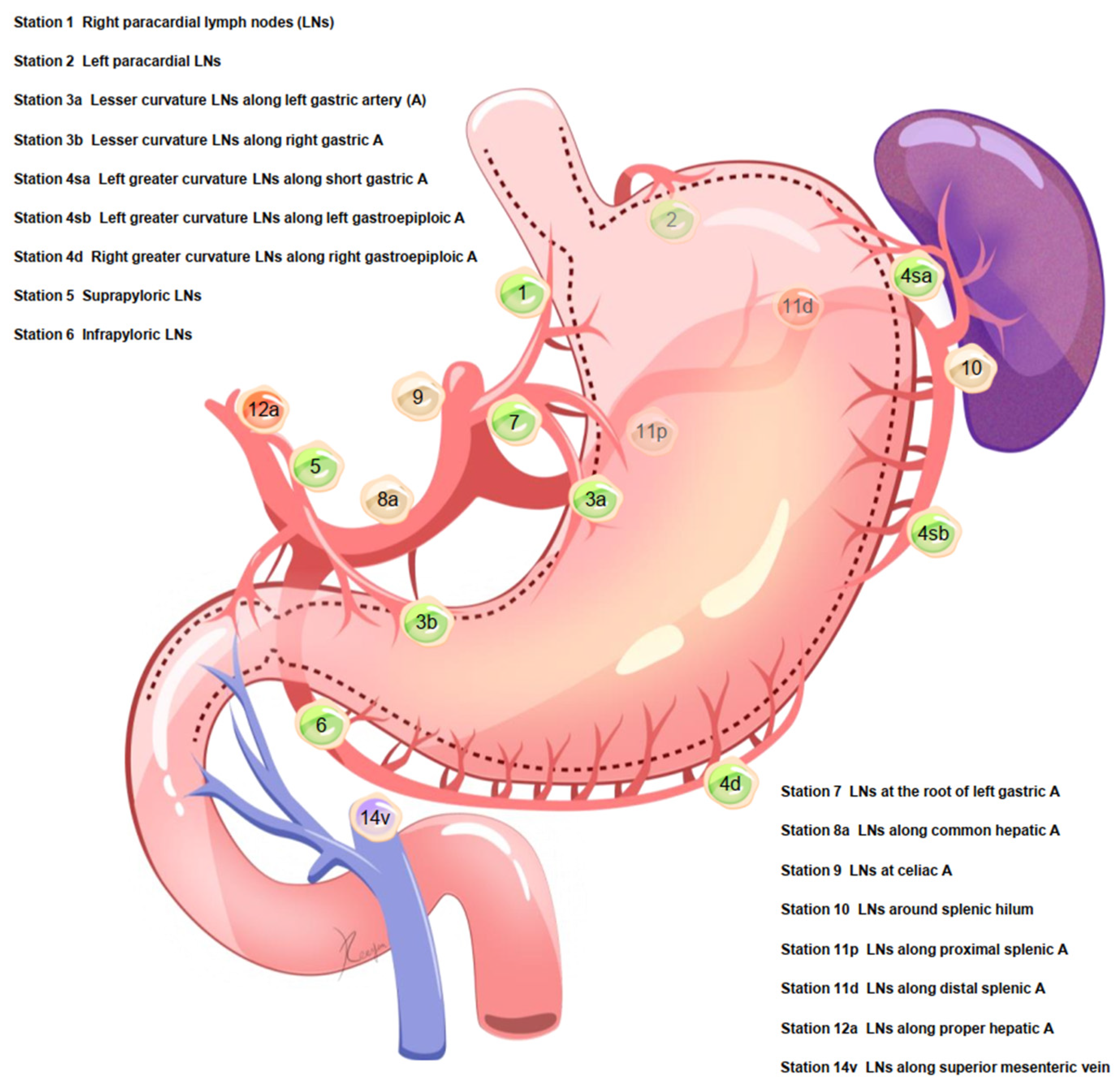 Cancers 14 03409 g001