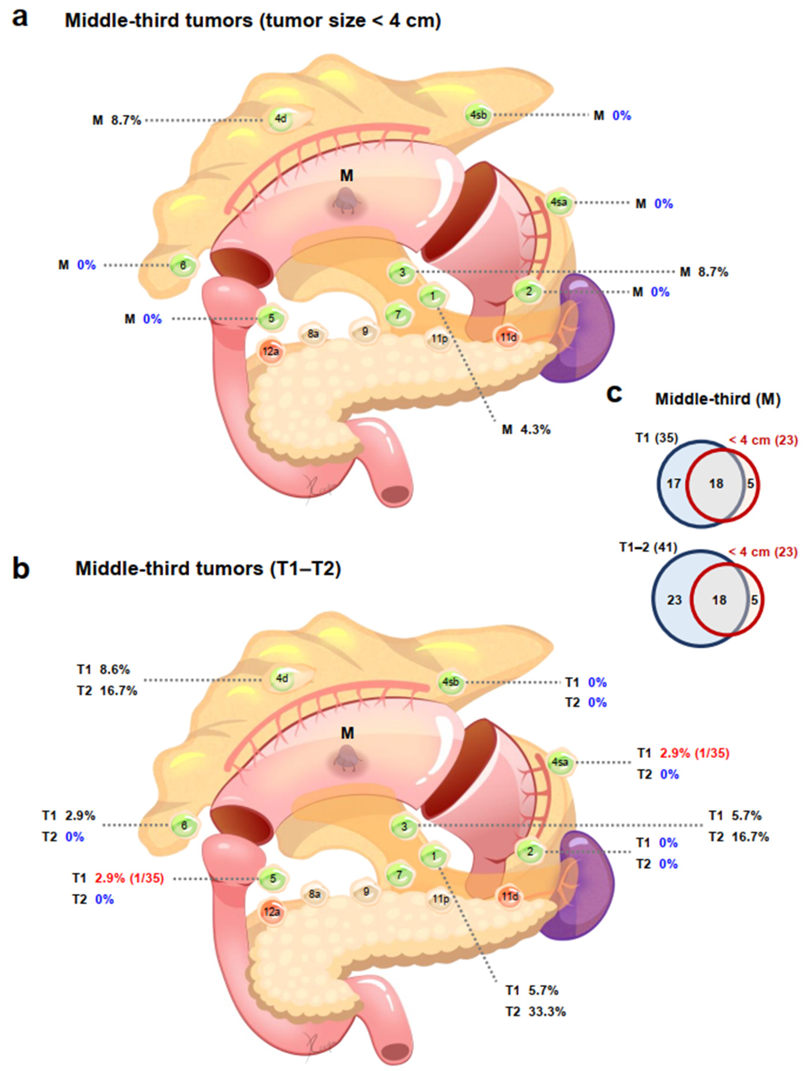 Cancers 14 03409 g003