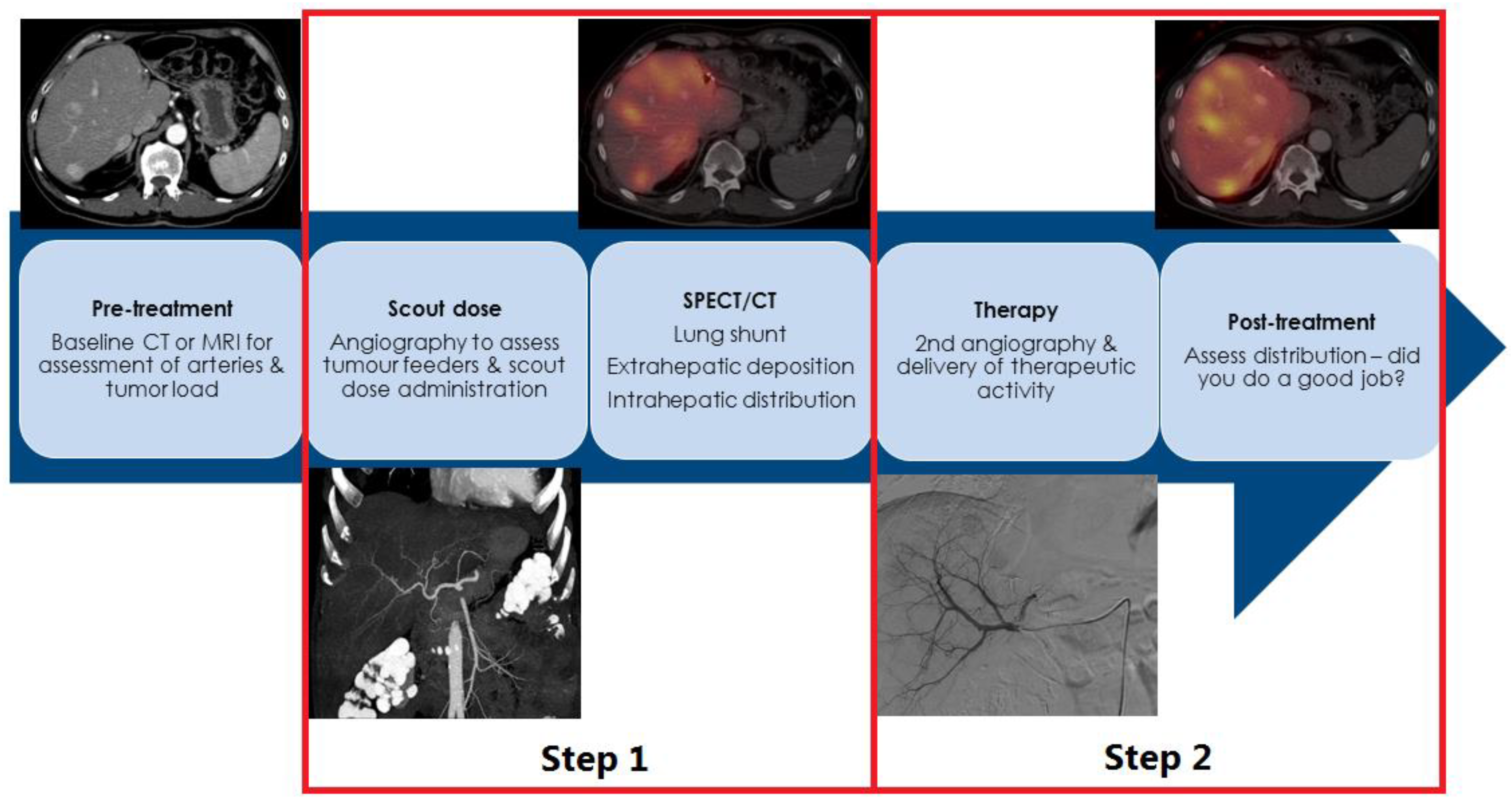 Cancers 14 03415 g001