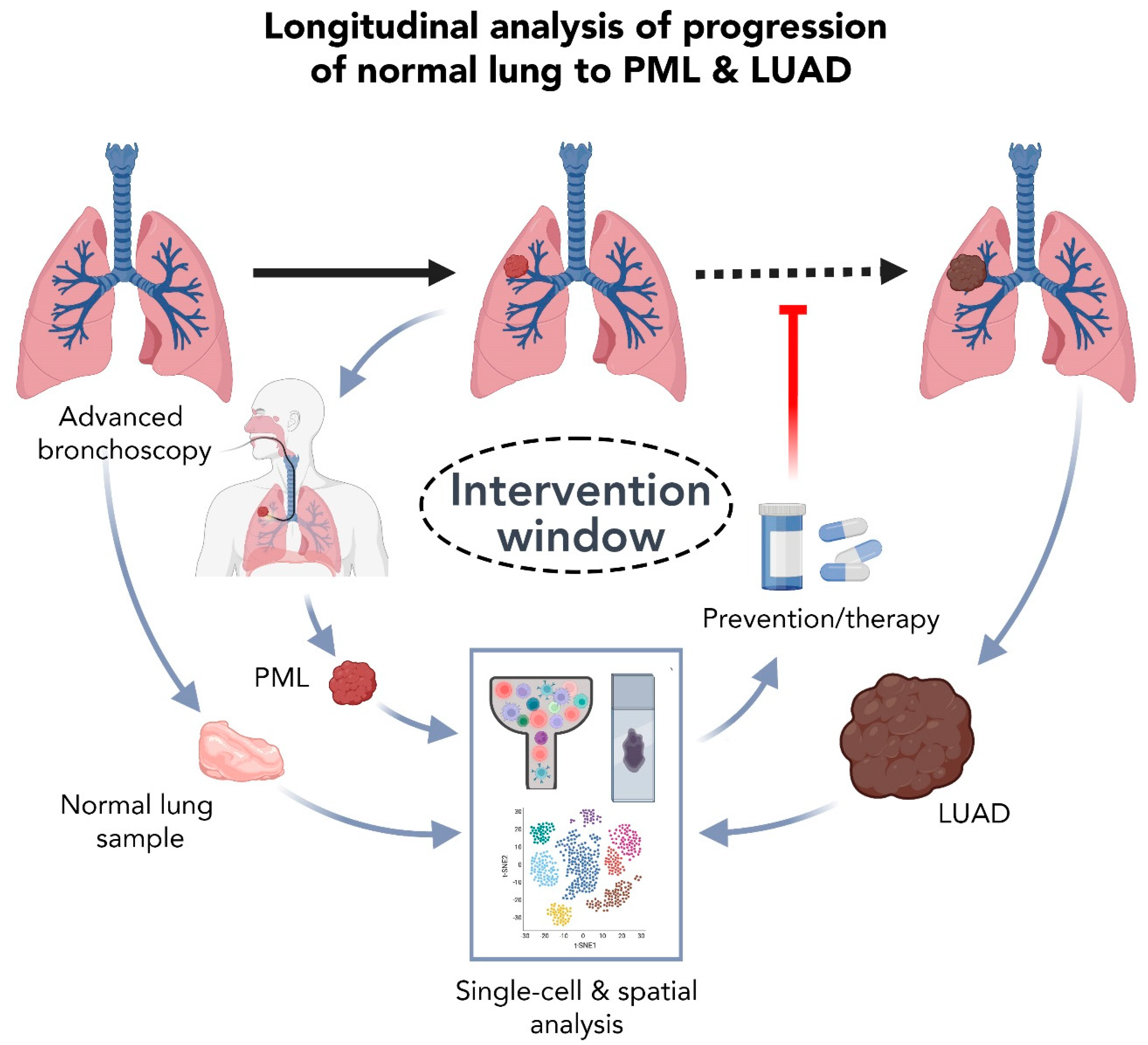 Cancers 14 03424 g002 Cancers 14 03424 g002