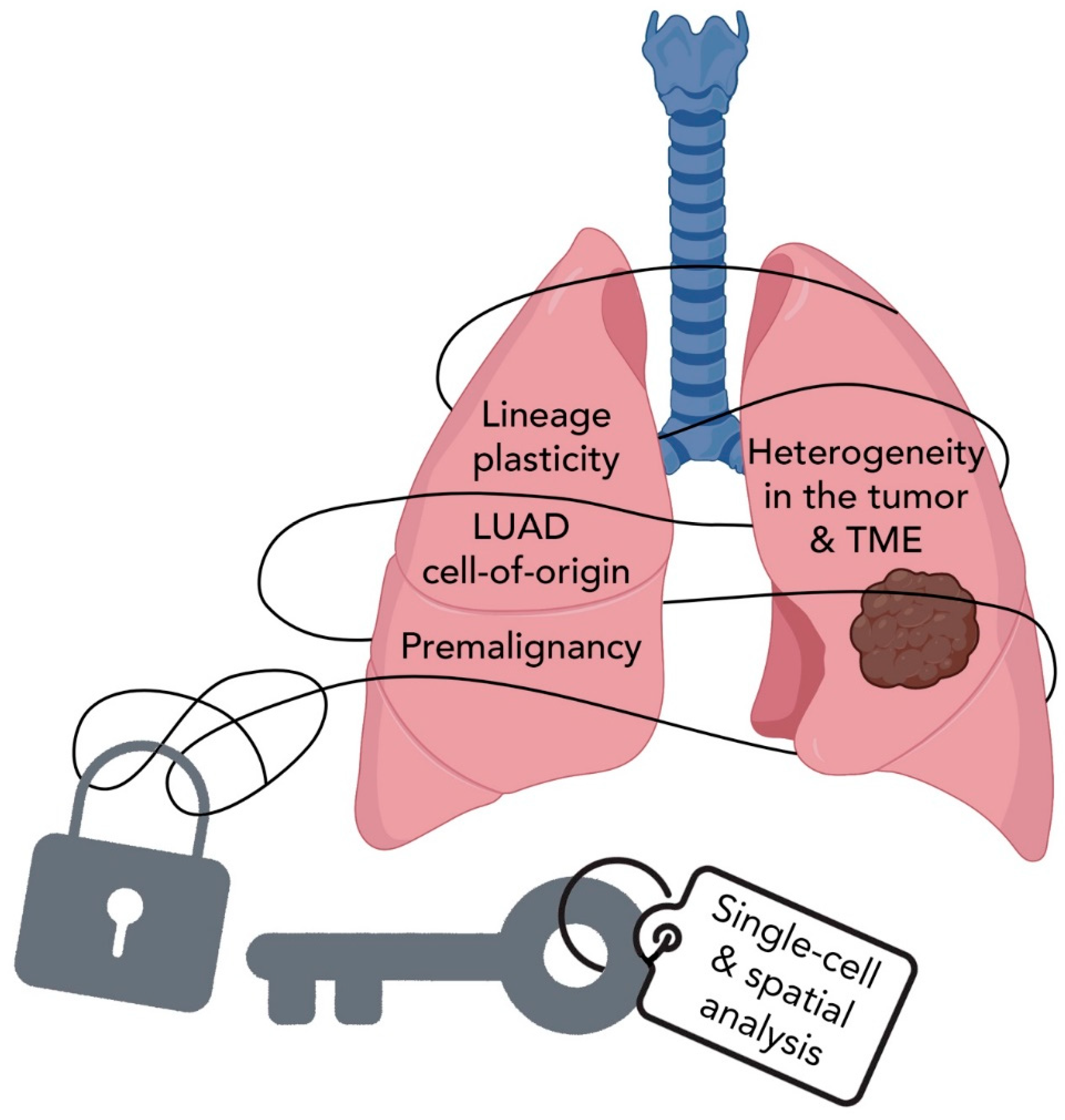 Cancers 14 03424 g003 Cancers 14 03424 g003