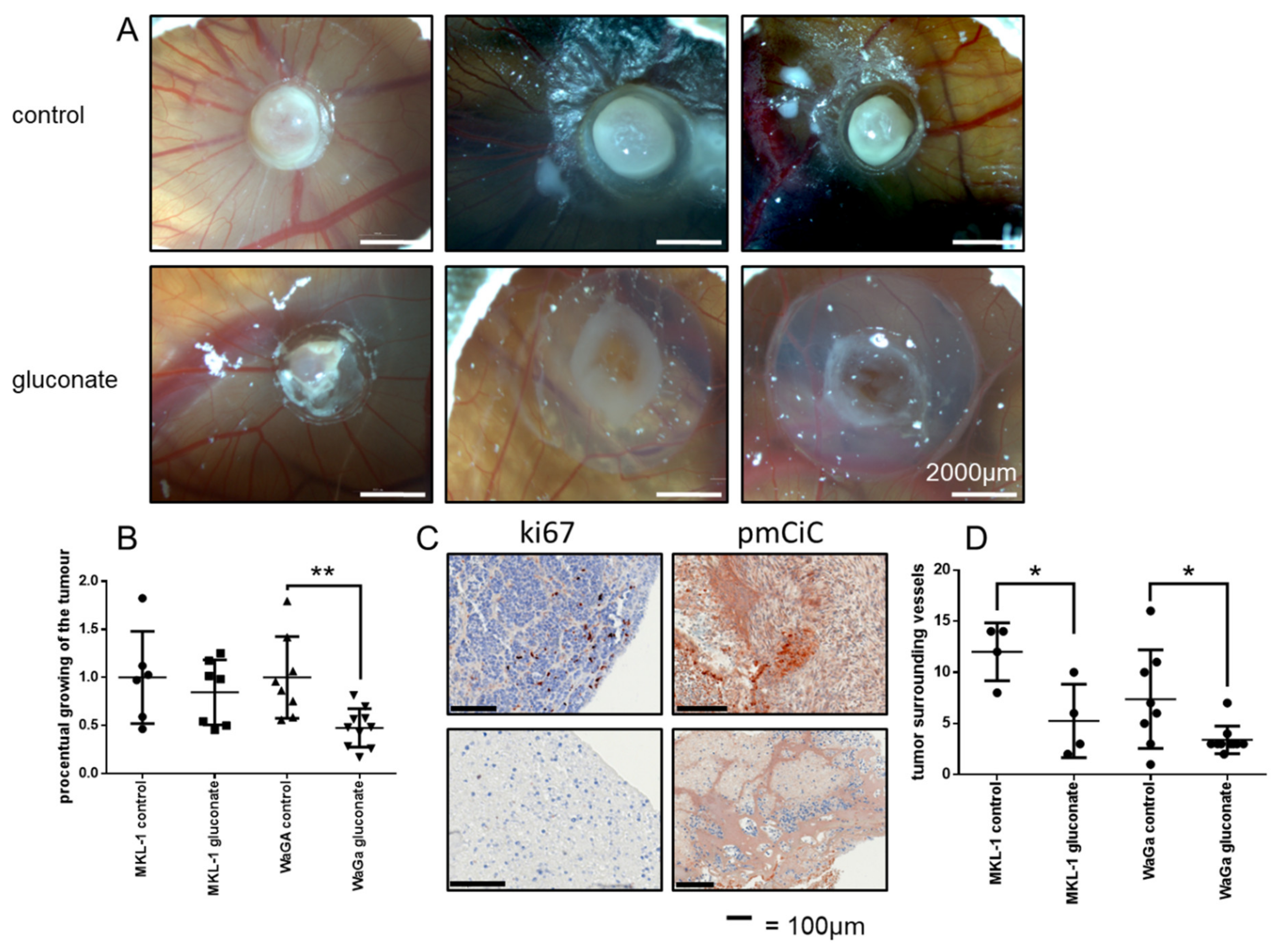 Cancers 14 03425 g003
