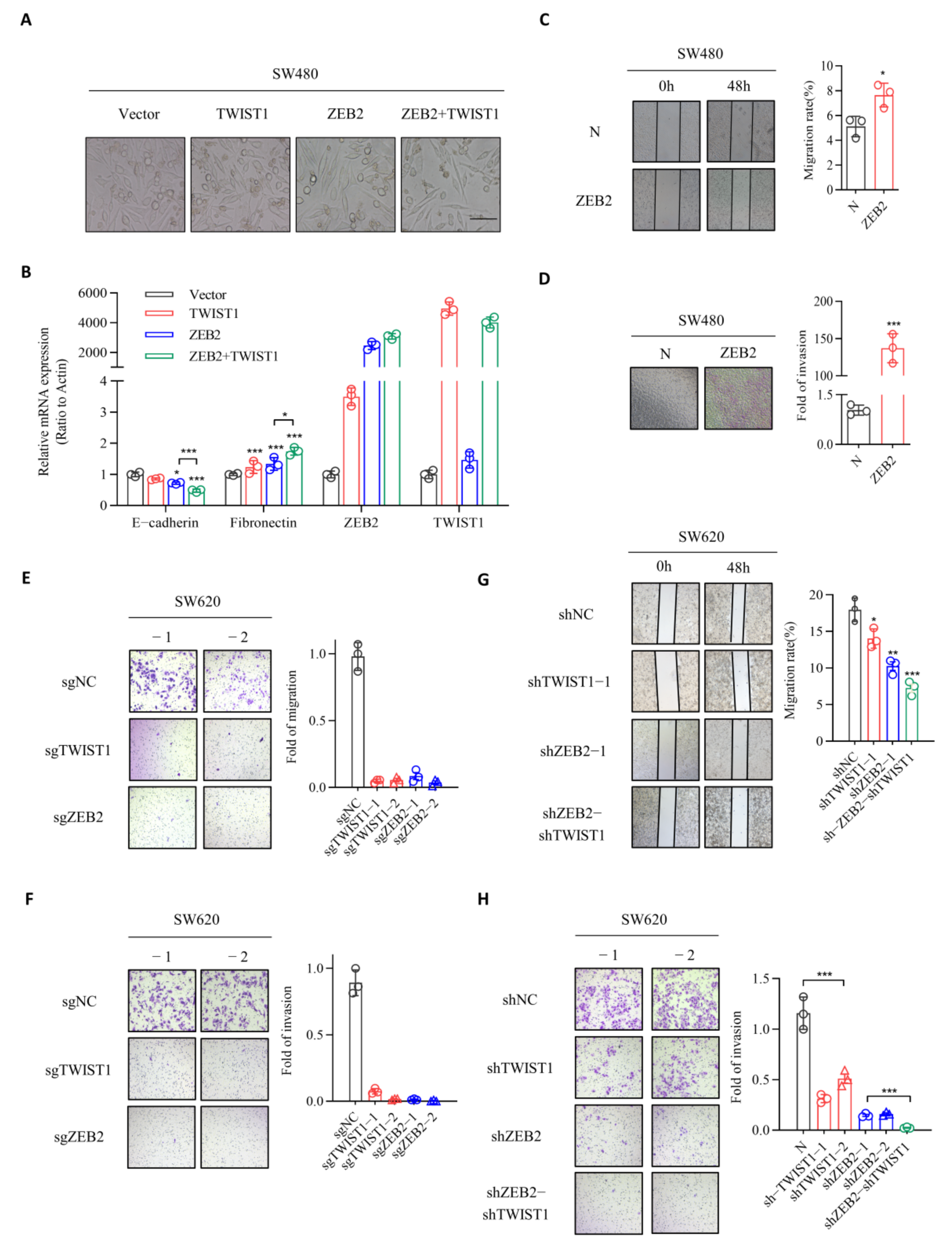 Cancers 14 03426 g002