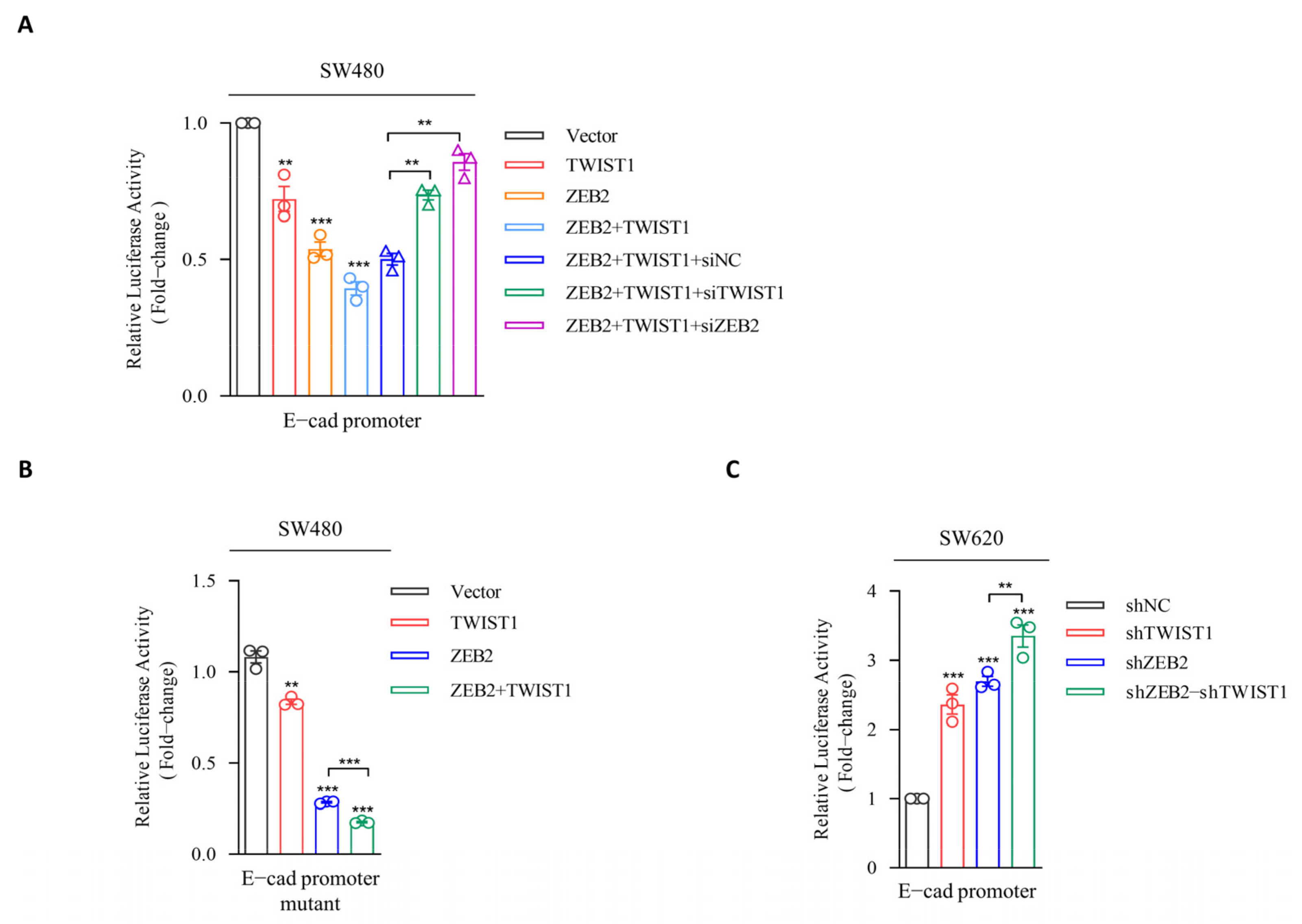 Cancers 14 03426 g003