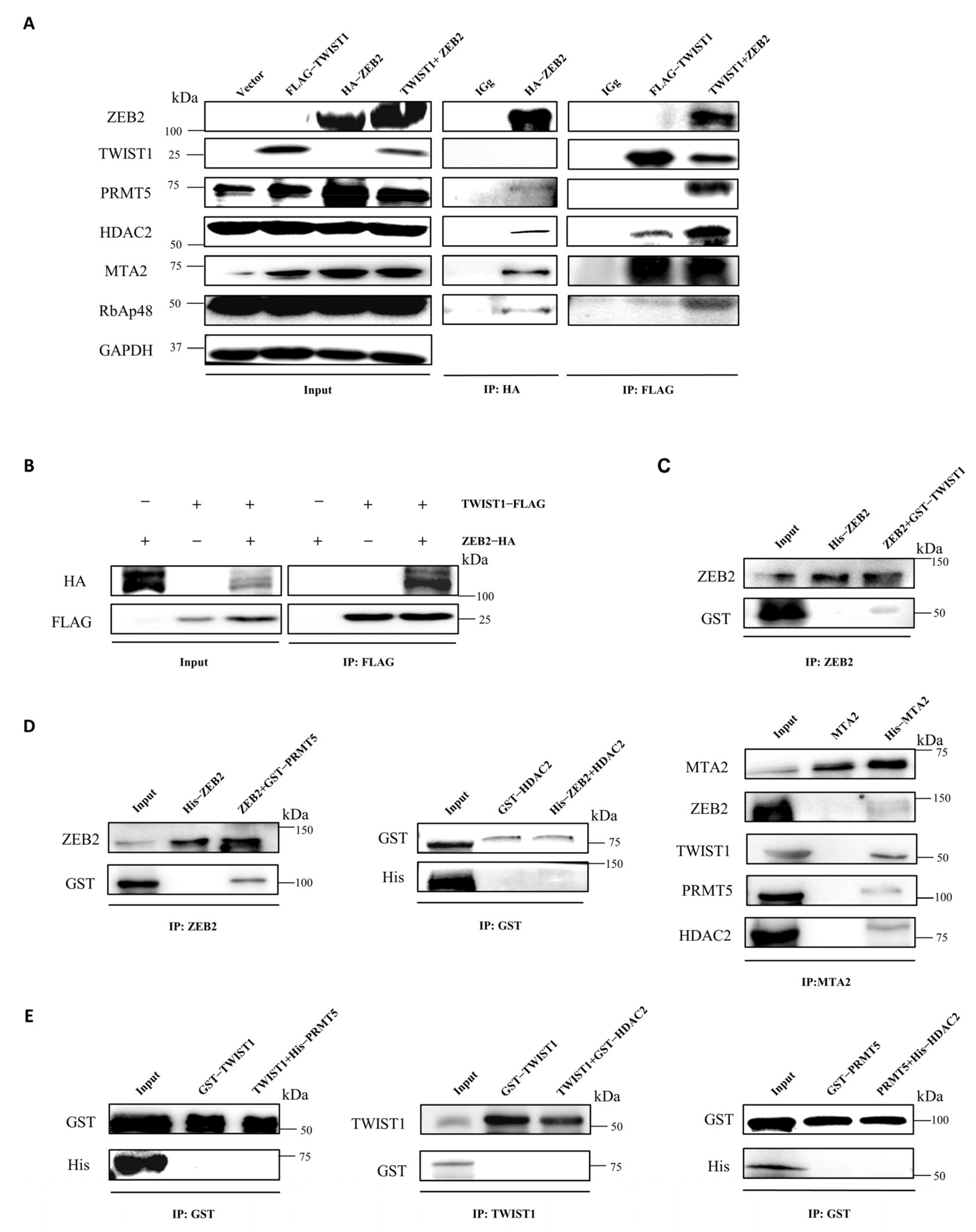 Cancers 14 03426 g004