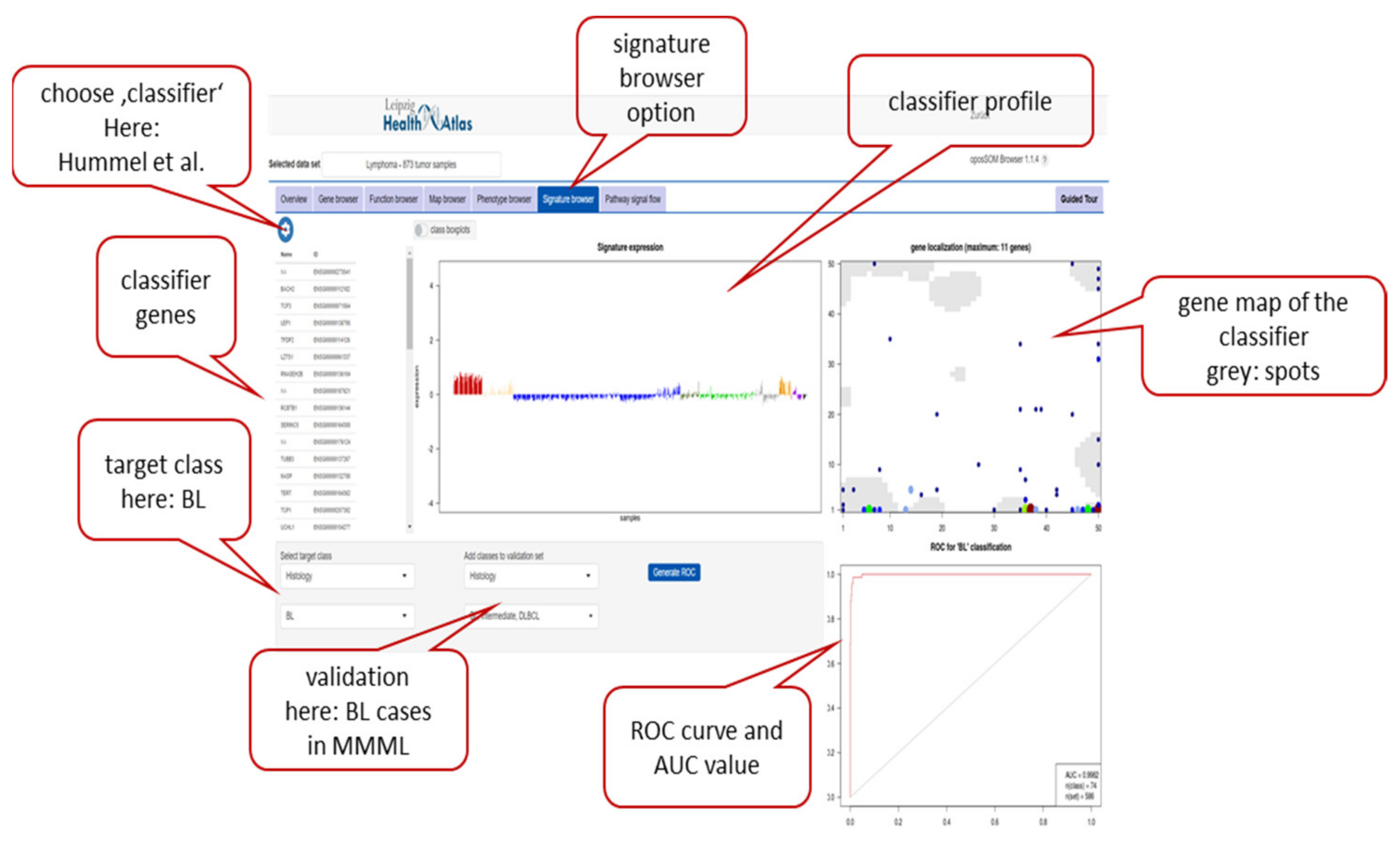 Cancers 14 03434 g0a1 550