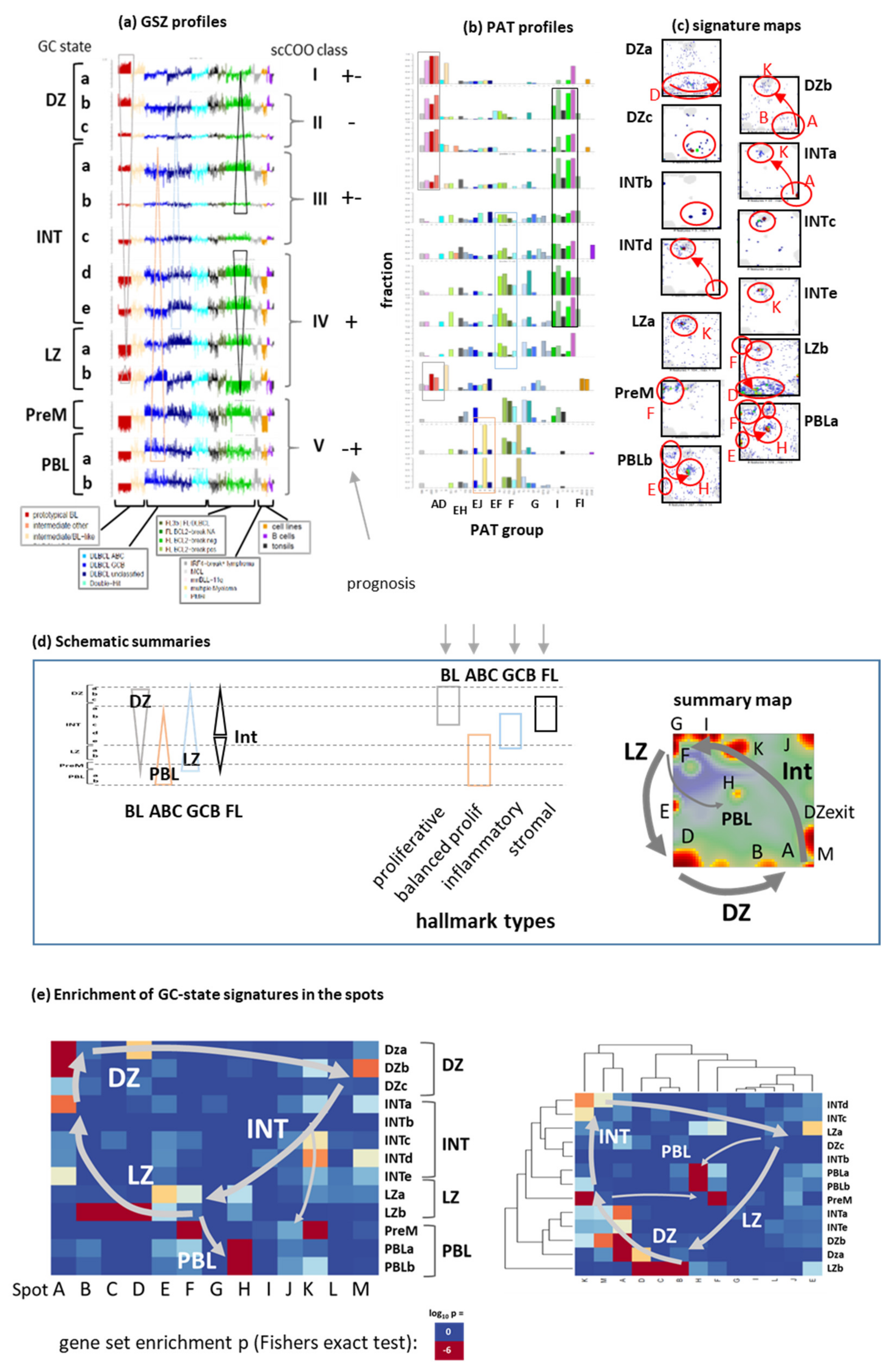Cancers 14 03434 g0a6 550