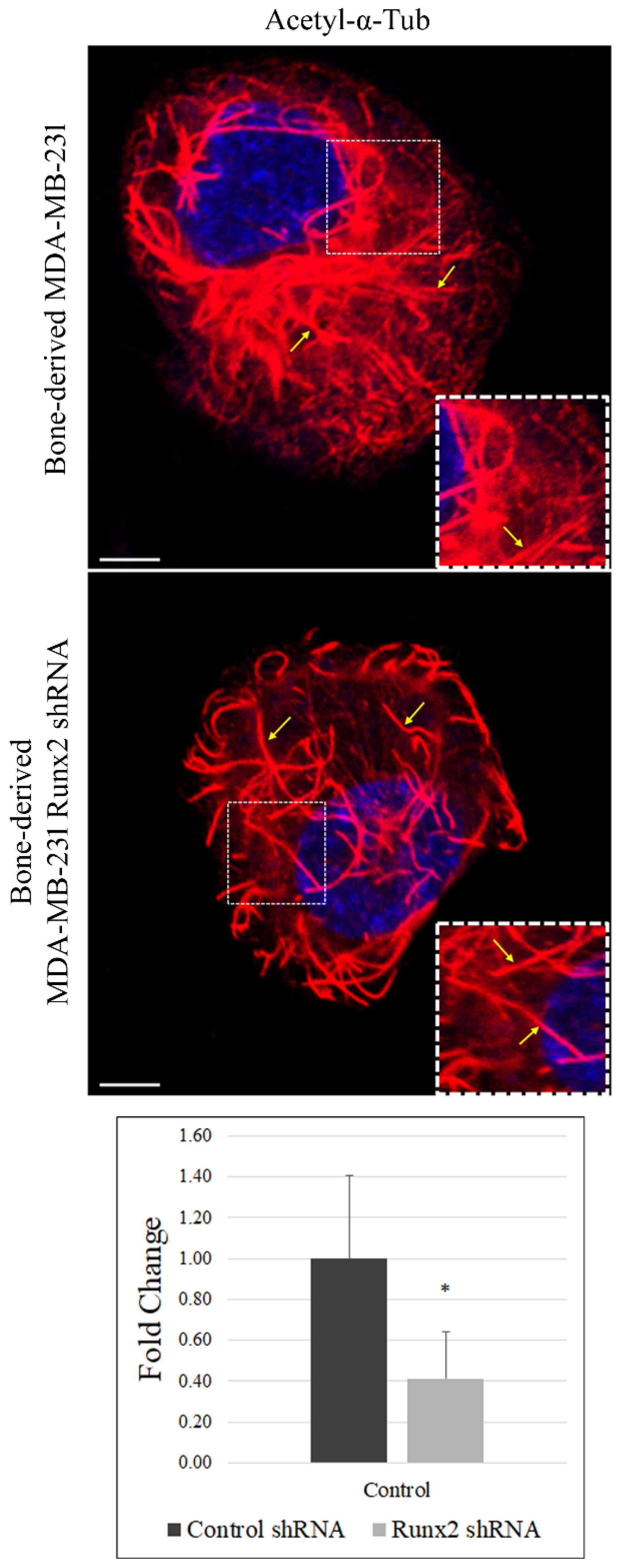 Cancers 14 03436 g001