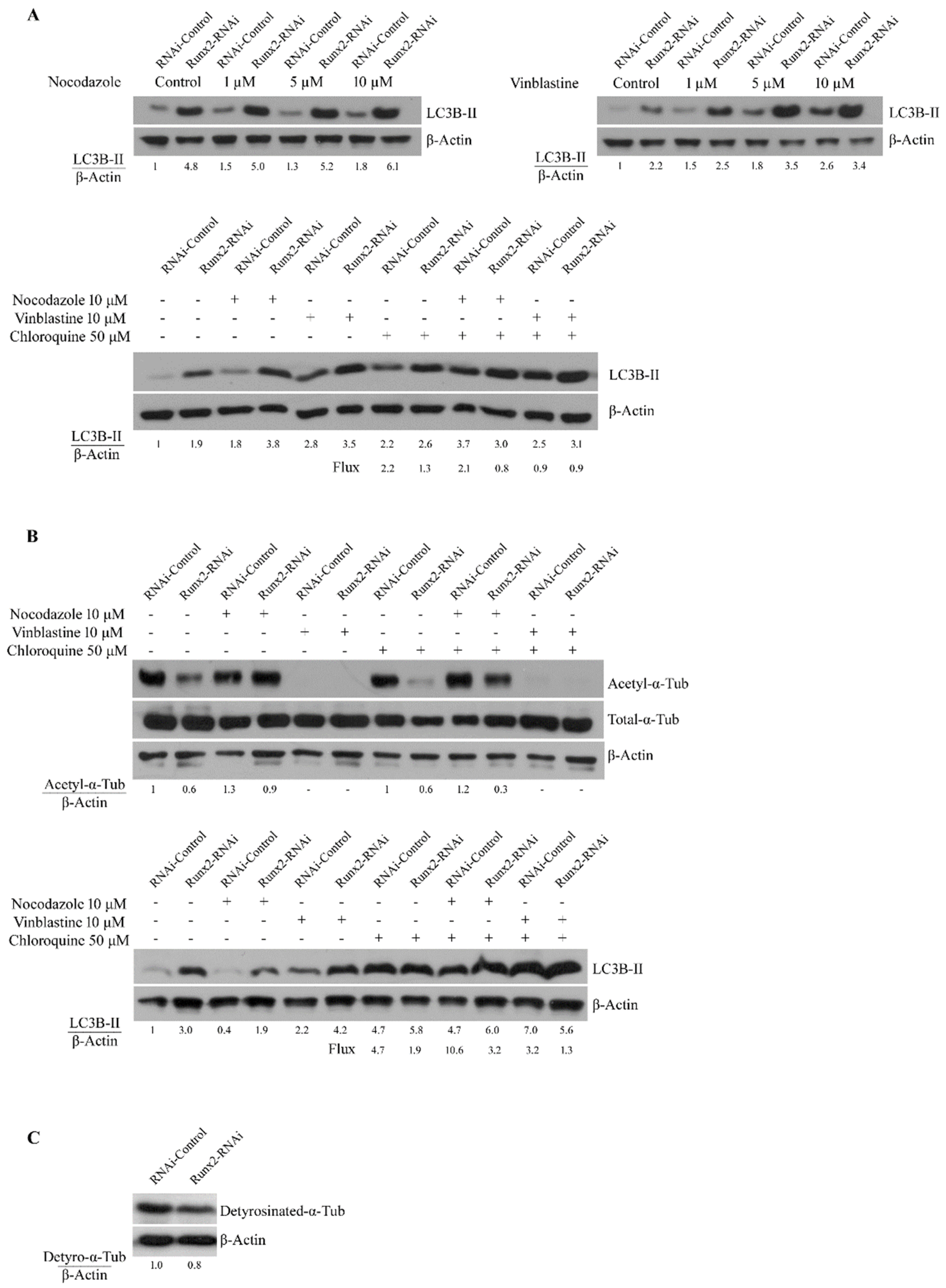 Cancers 14 03436 g003