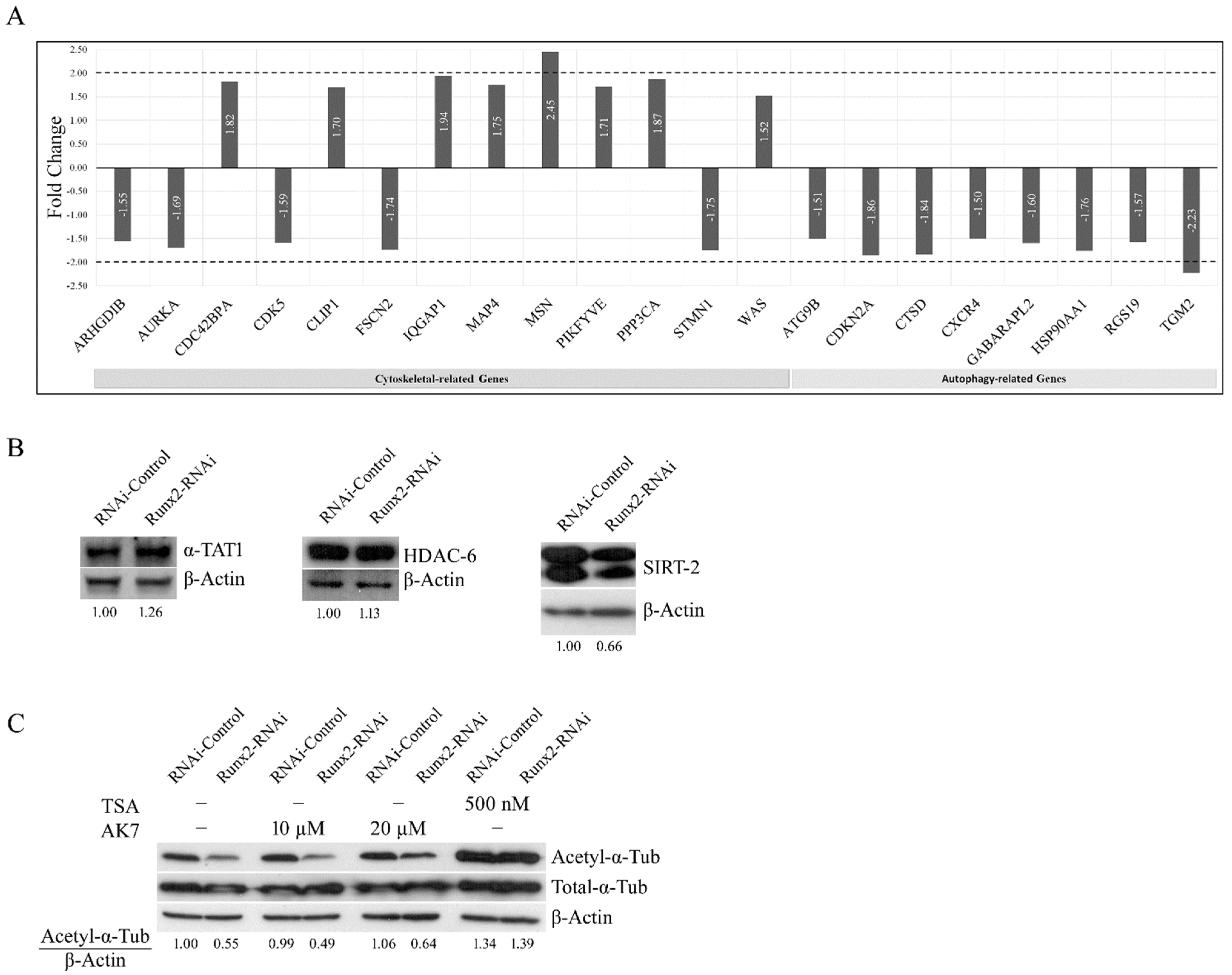Cancers 14 03436 g004