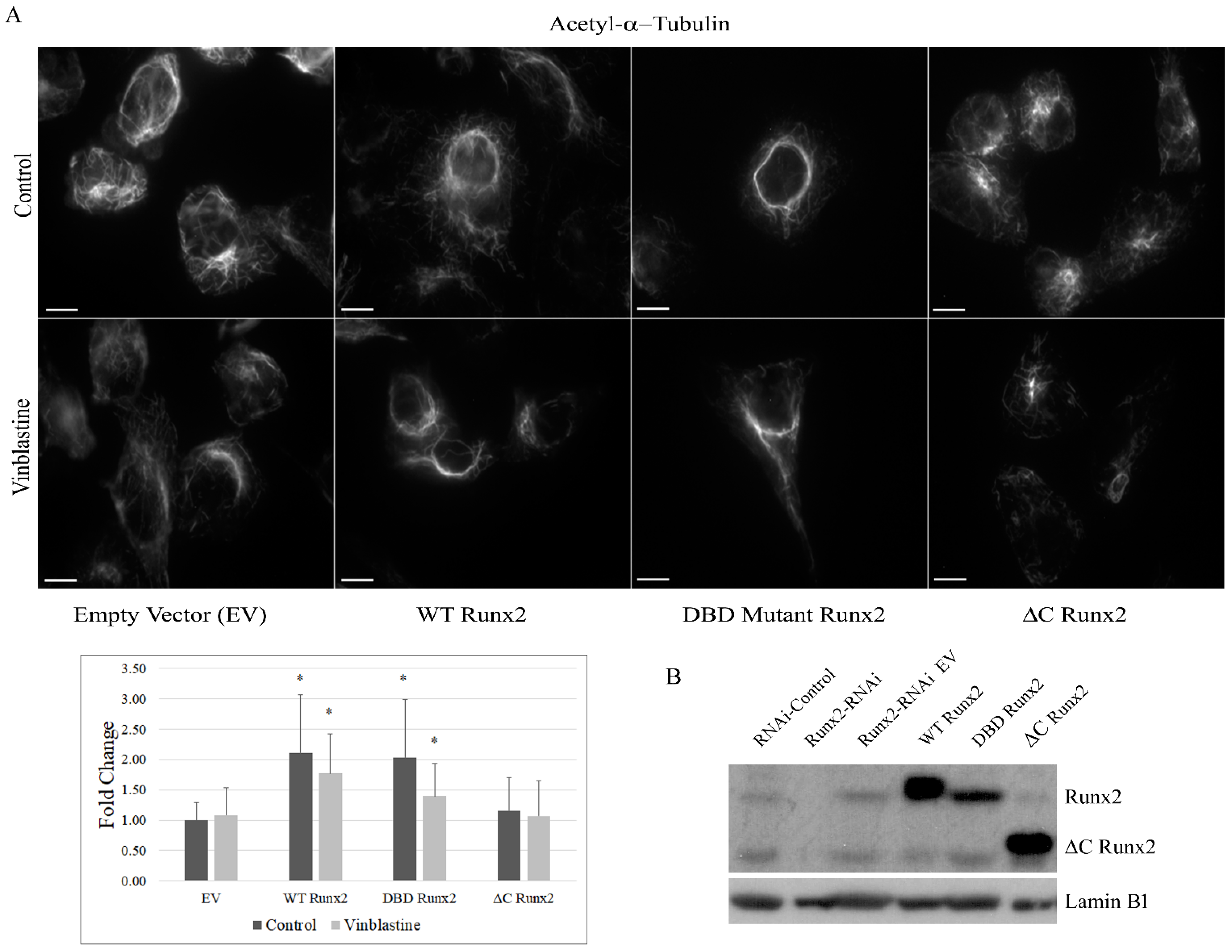 Cancers 14 03436 g005