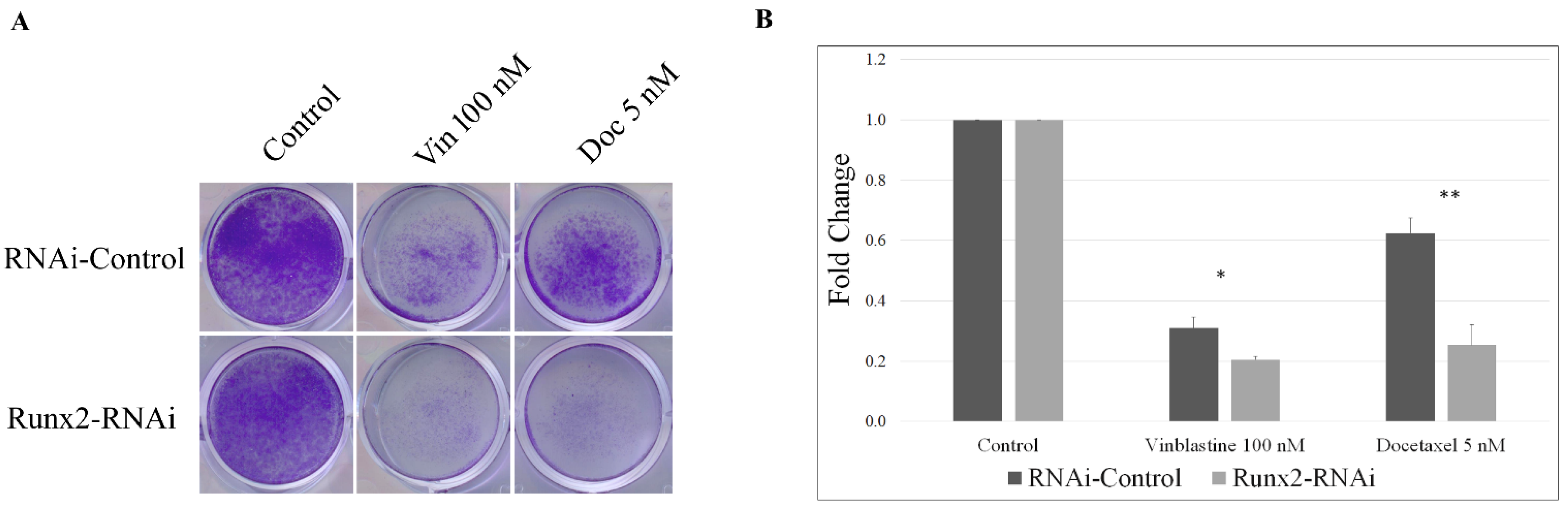 Cancers 14 03436 g007