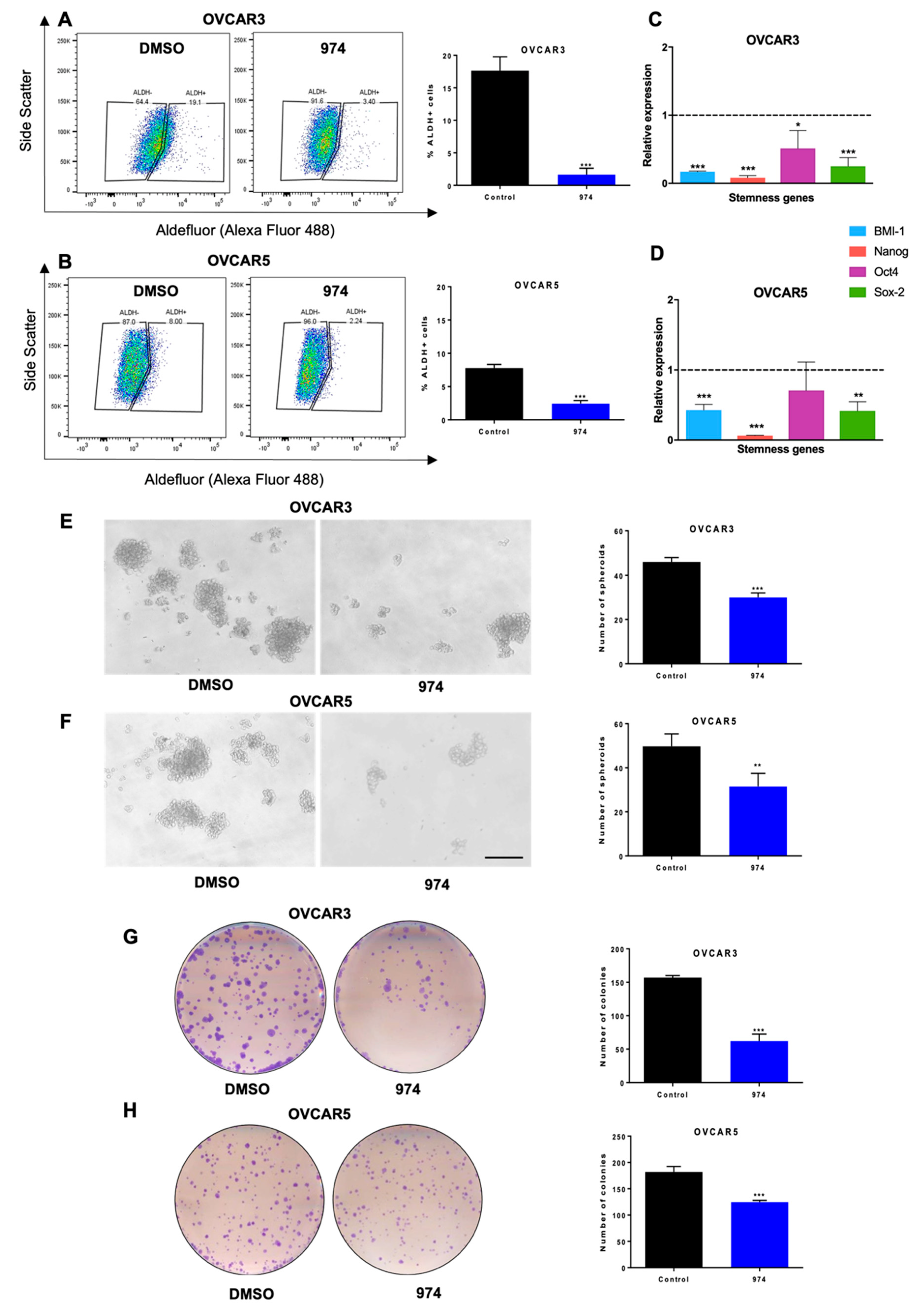 Cancers 14 03437 g002