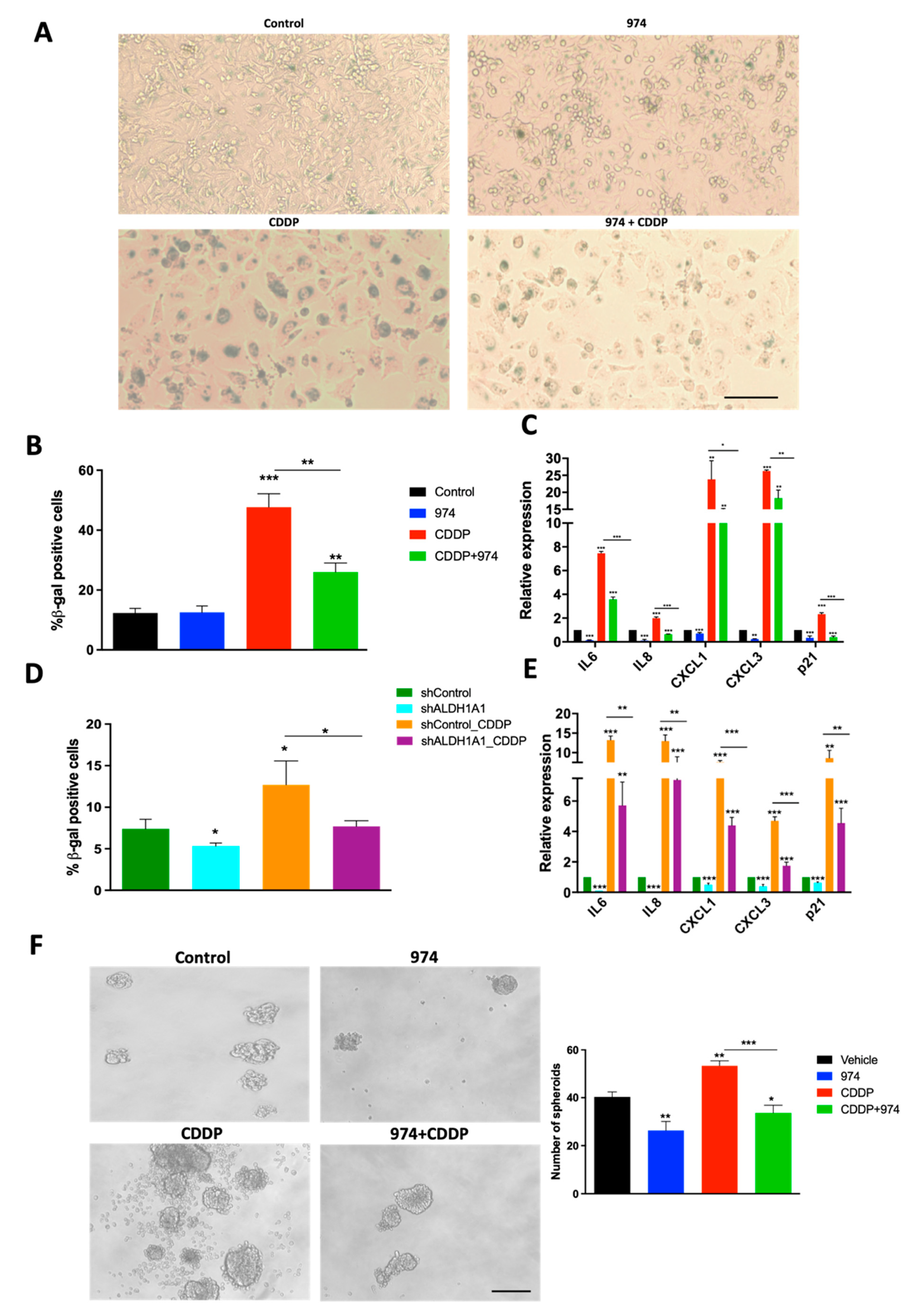Cancers 14 03437 g005