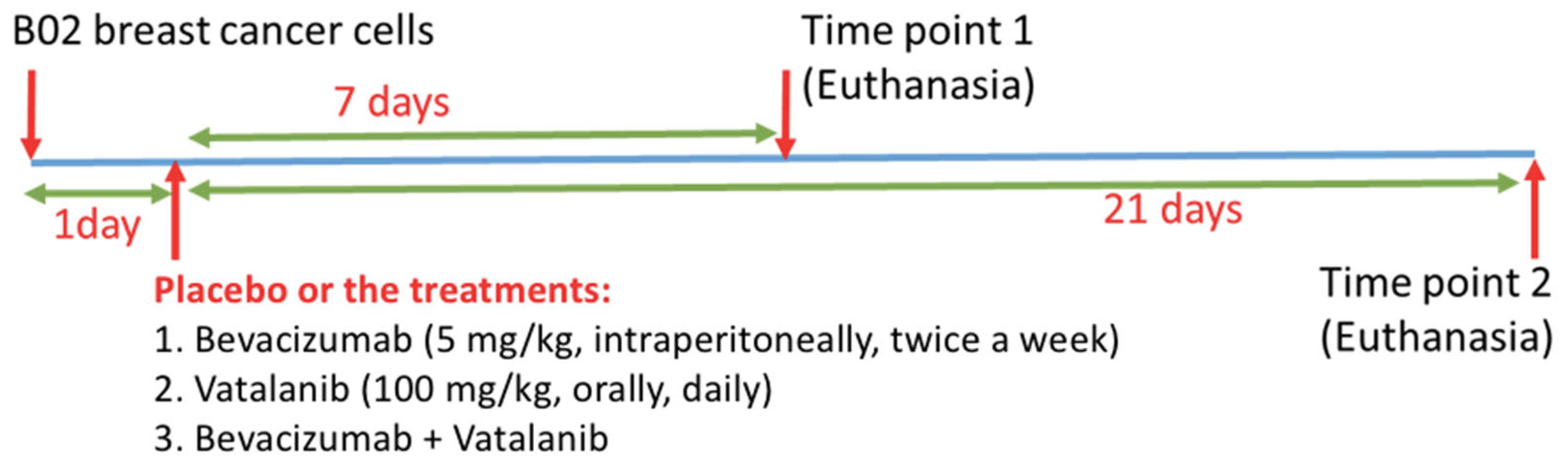 Cancers 14 03443 g001