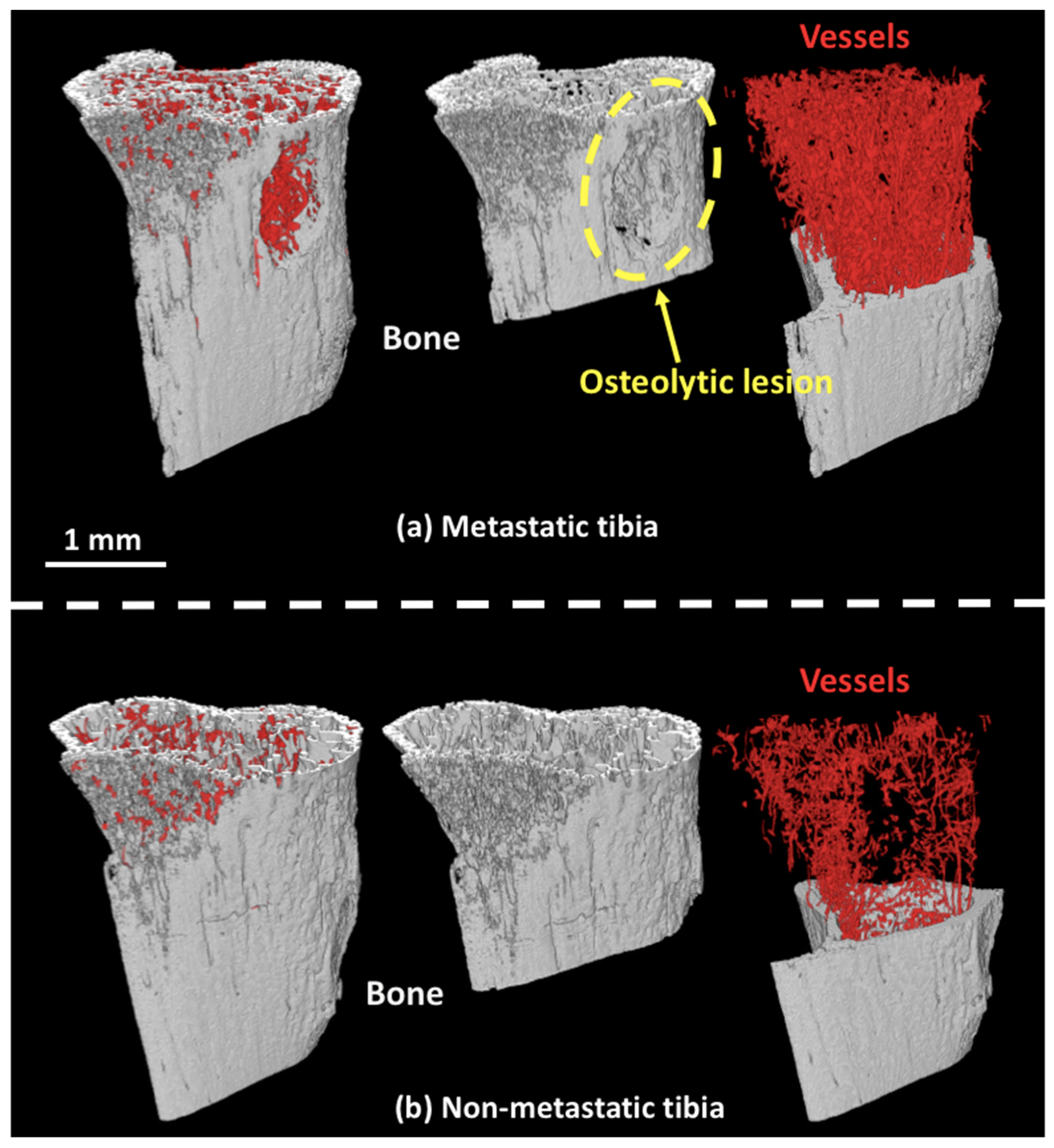 Cancers 14 03443 g002