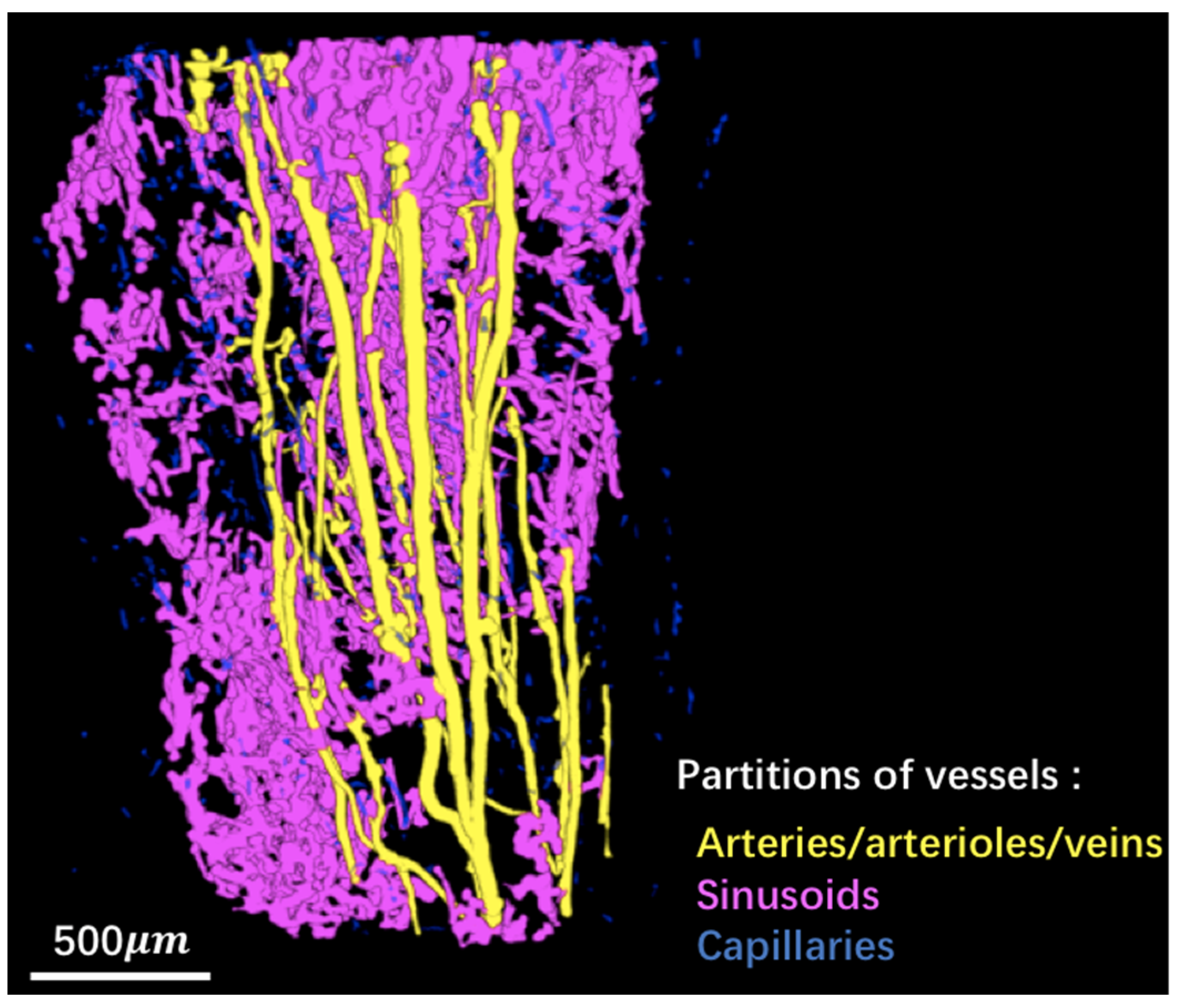 Cancers 14 03443 g003