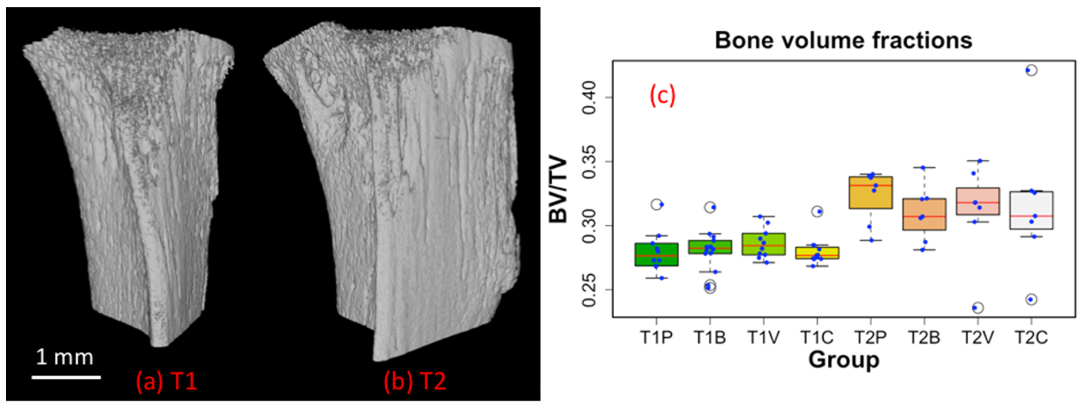 Cancers 14 03443 g004