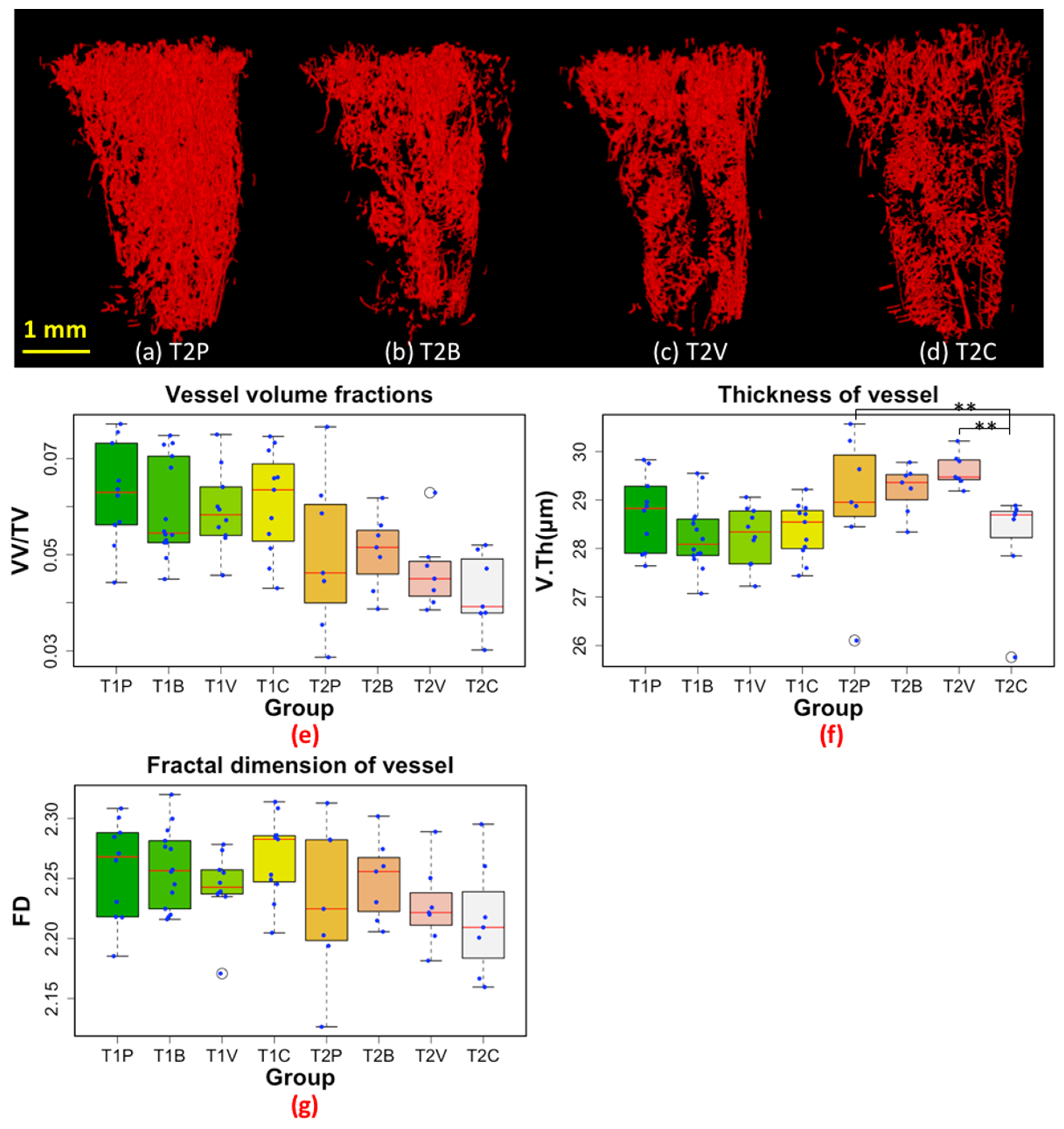 Cancers 14 03443 g005