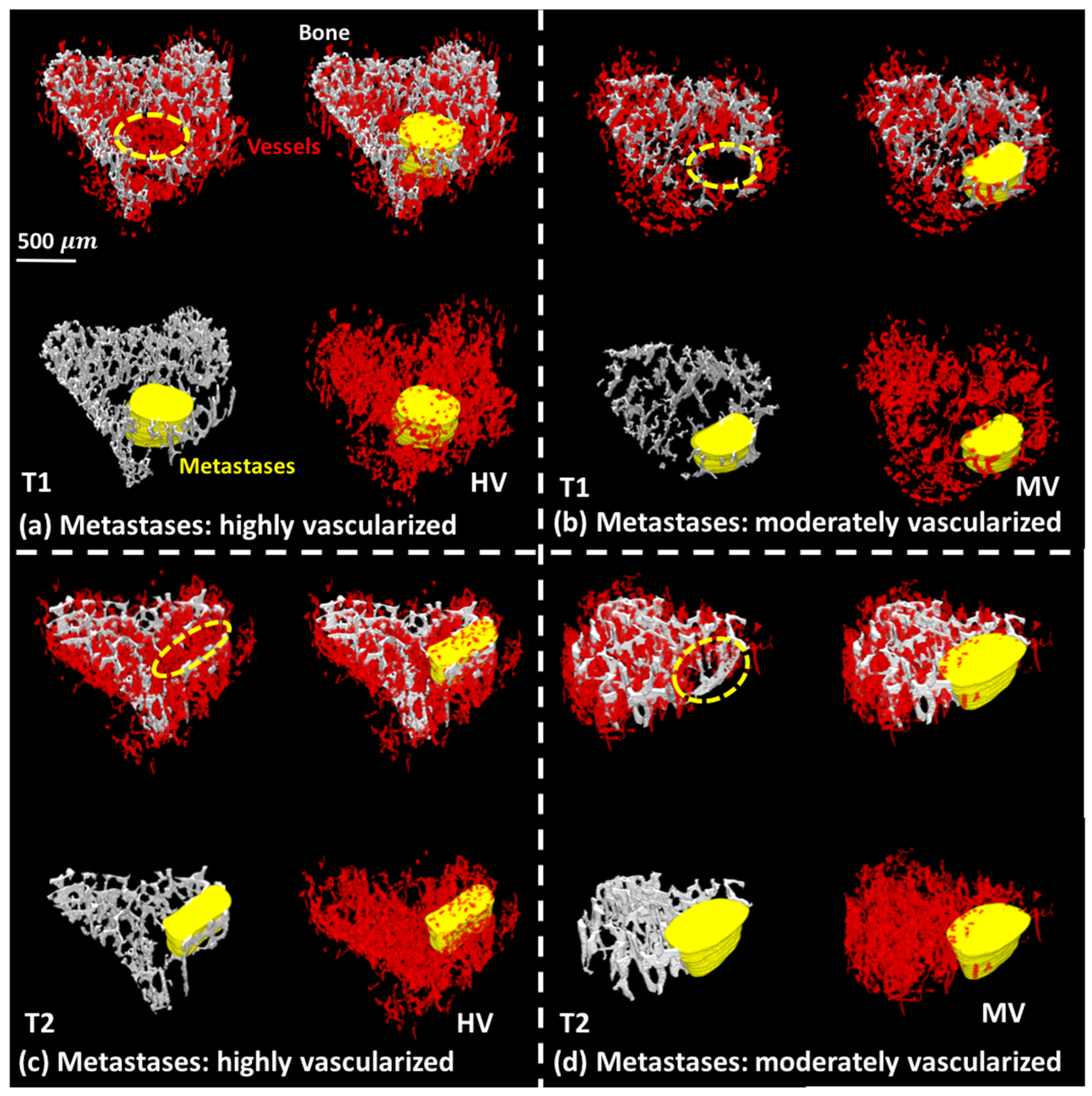 Cancers 14 03443 g007