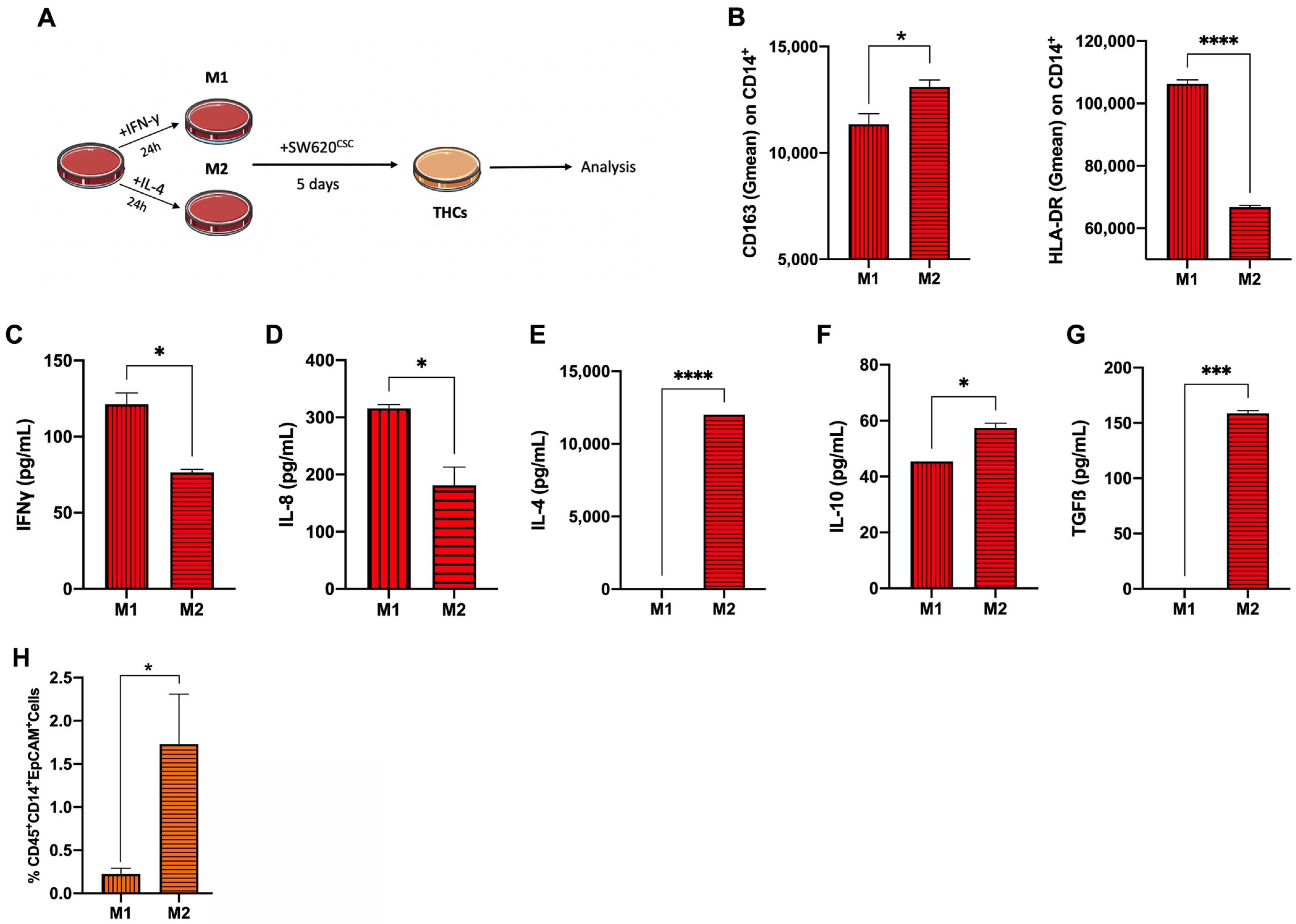 Cancers 14 03445 g003