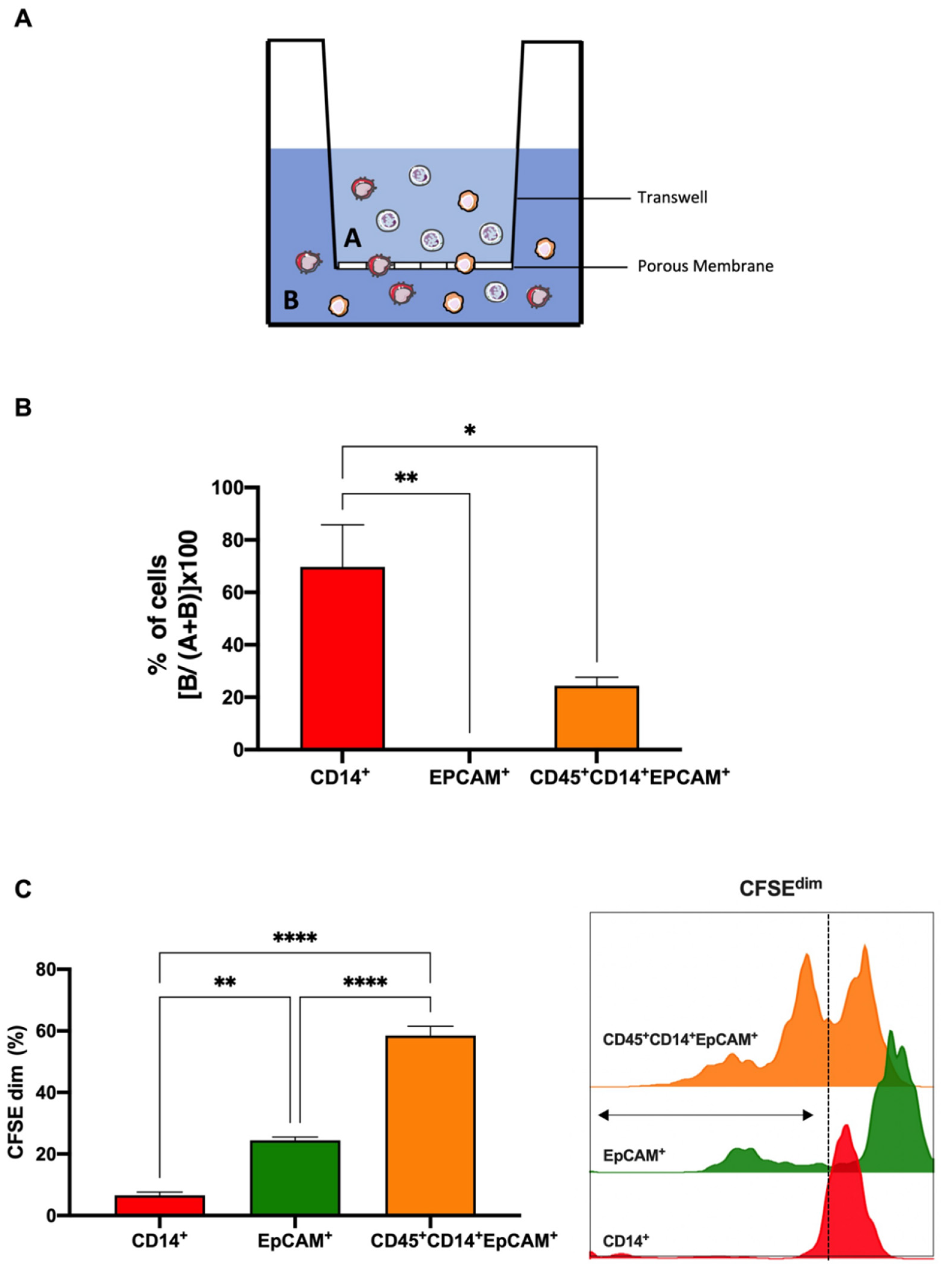 Cancers 14 03445 g004