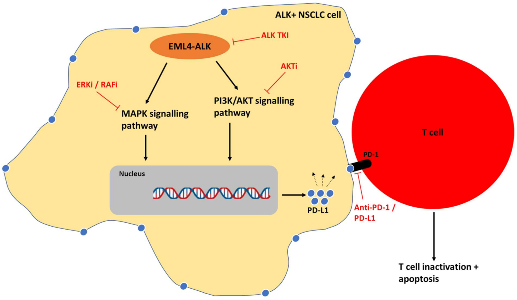Cancers 14 03452 g006