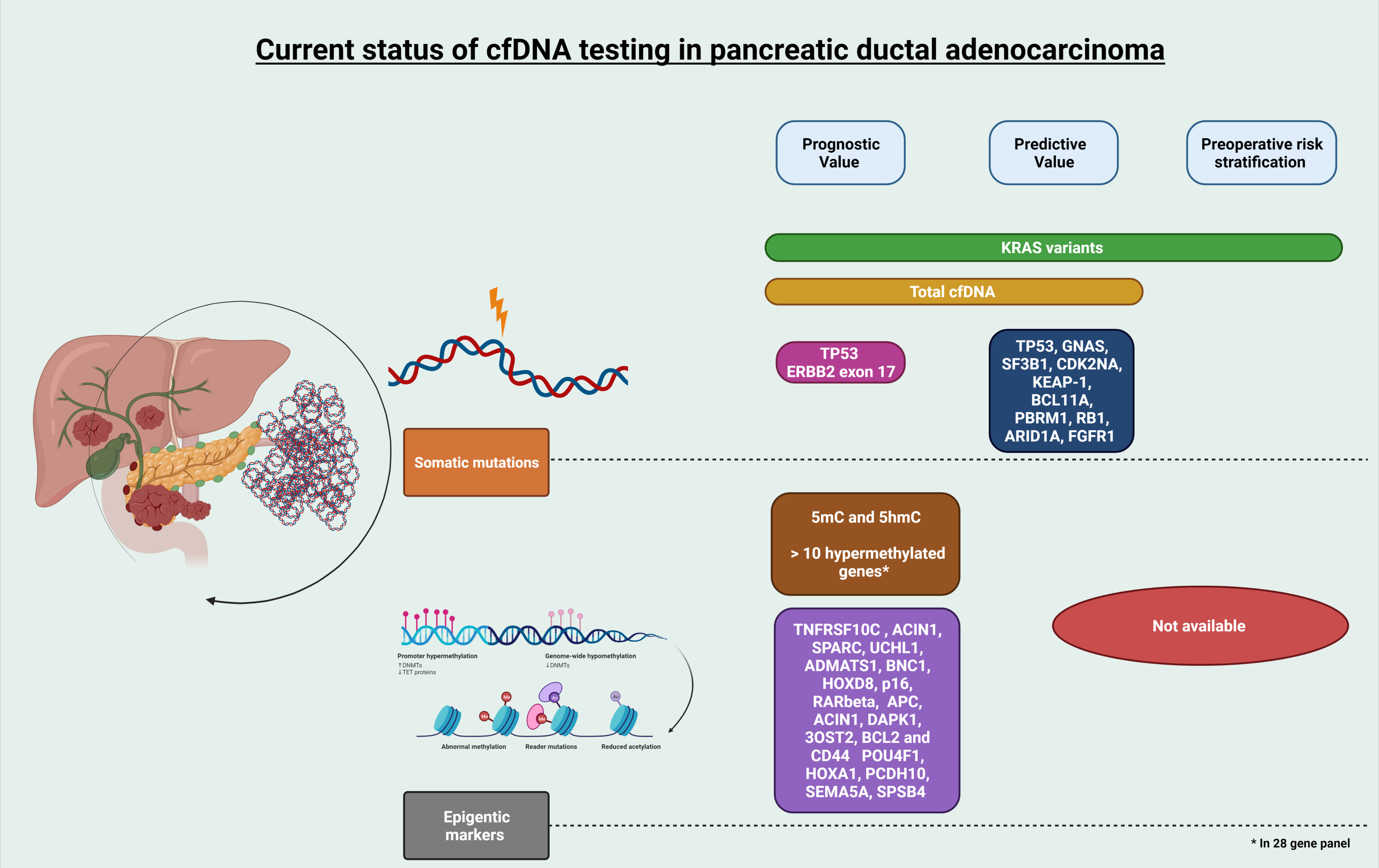Cancers 14 03453 g001