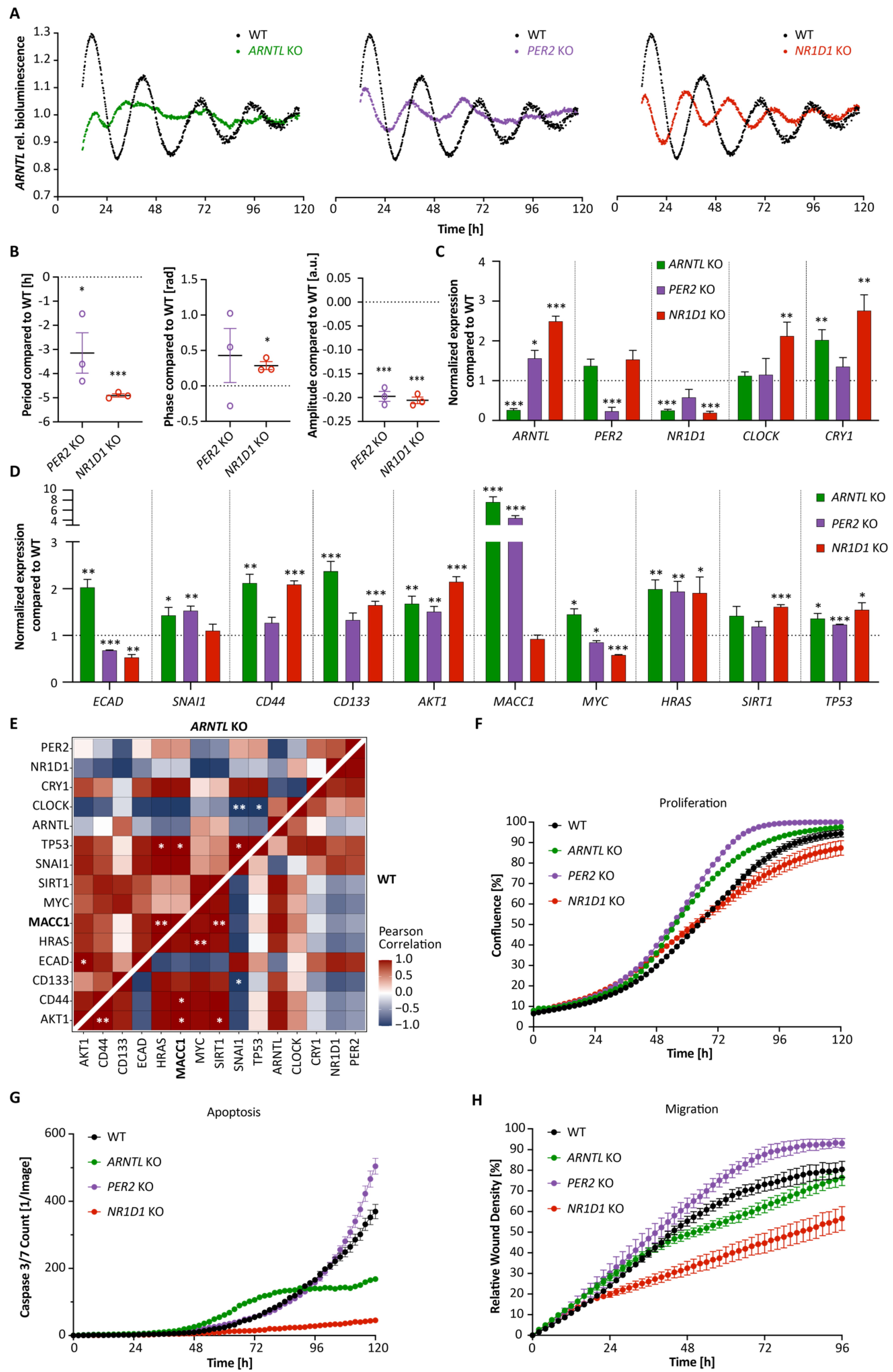 Cancers 14 03458 g001