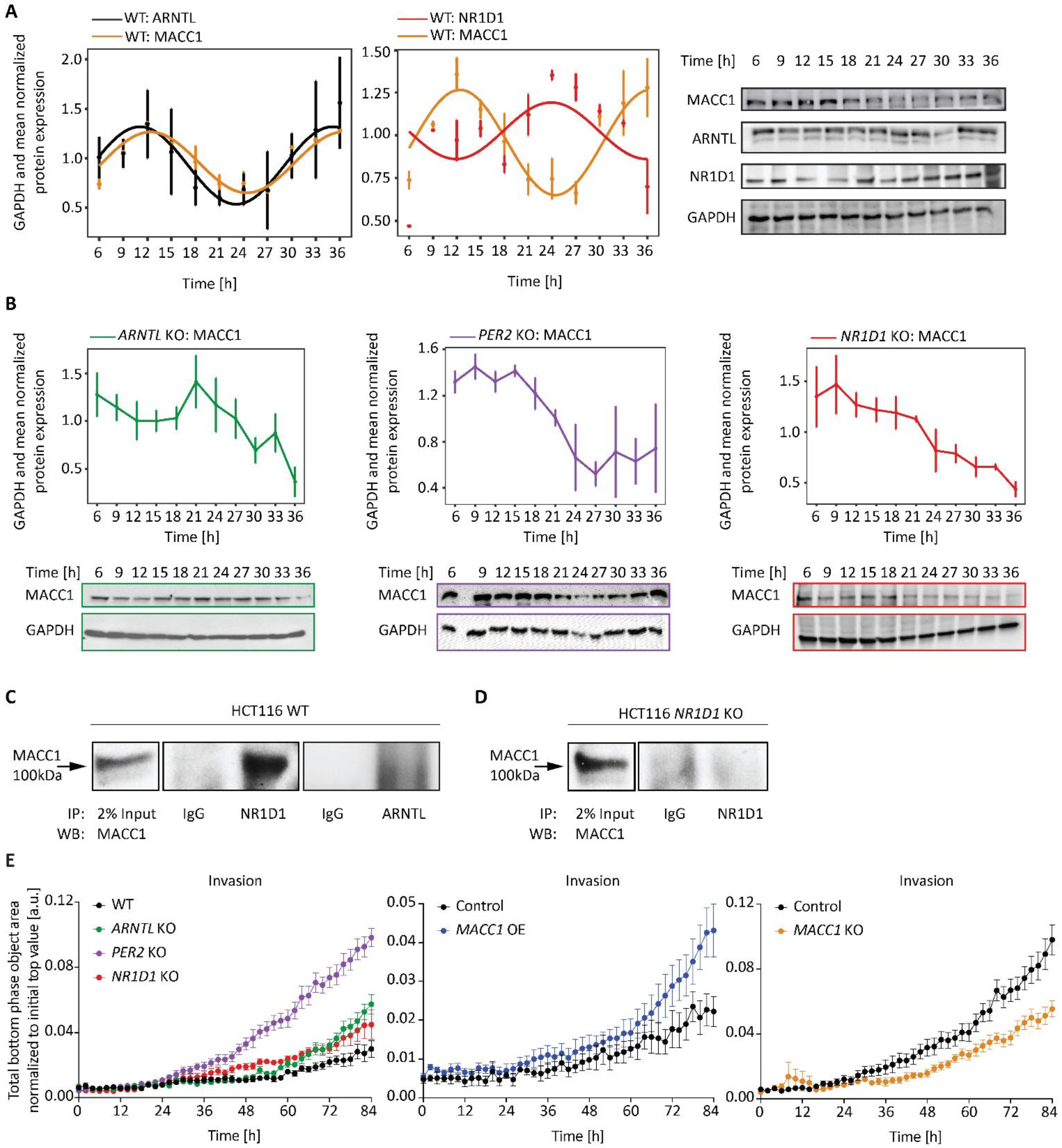 Cancers 14 03458 g006