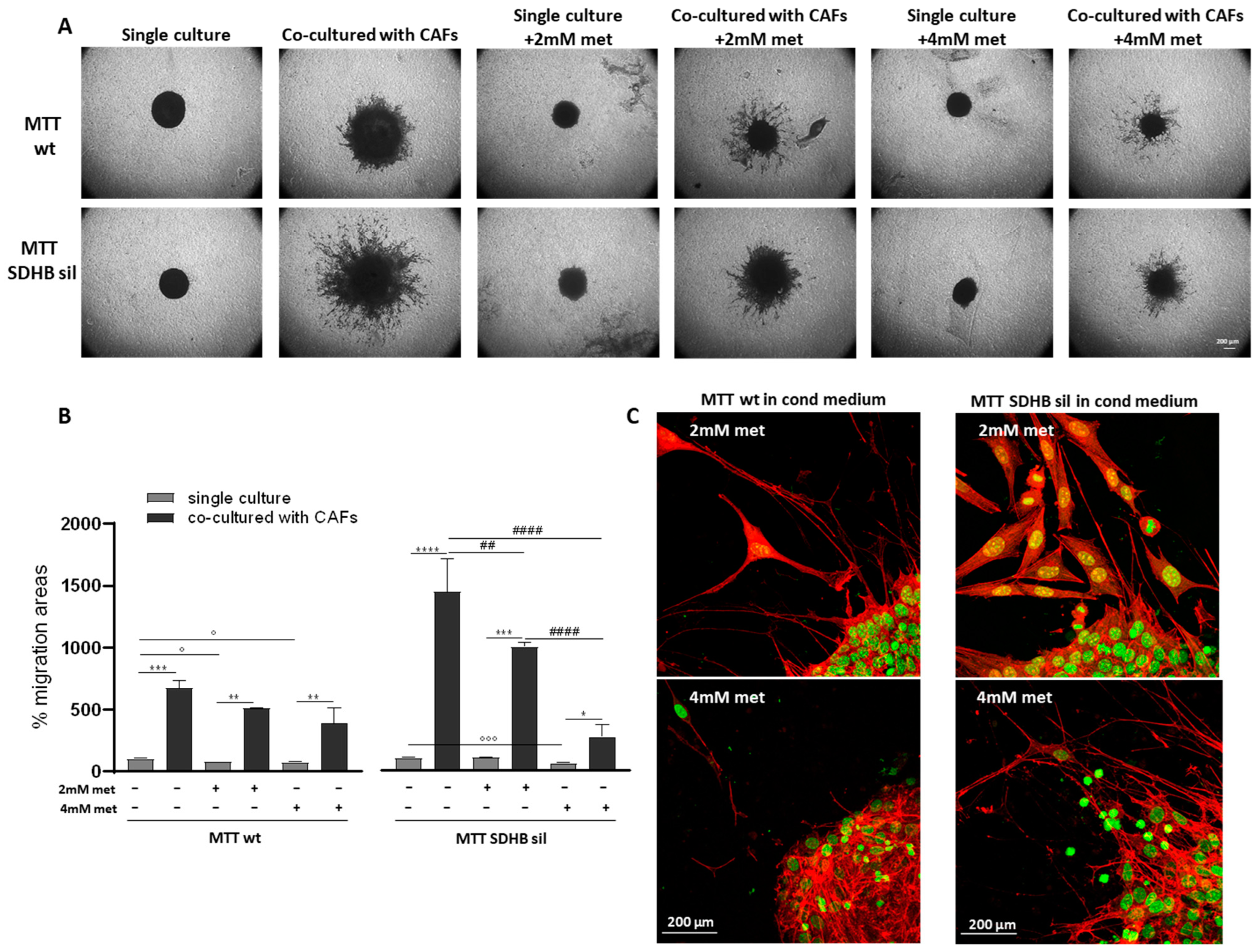 Cancers 14 03471 g005